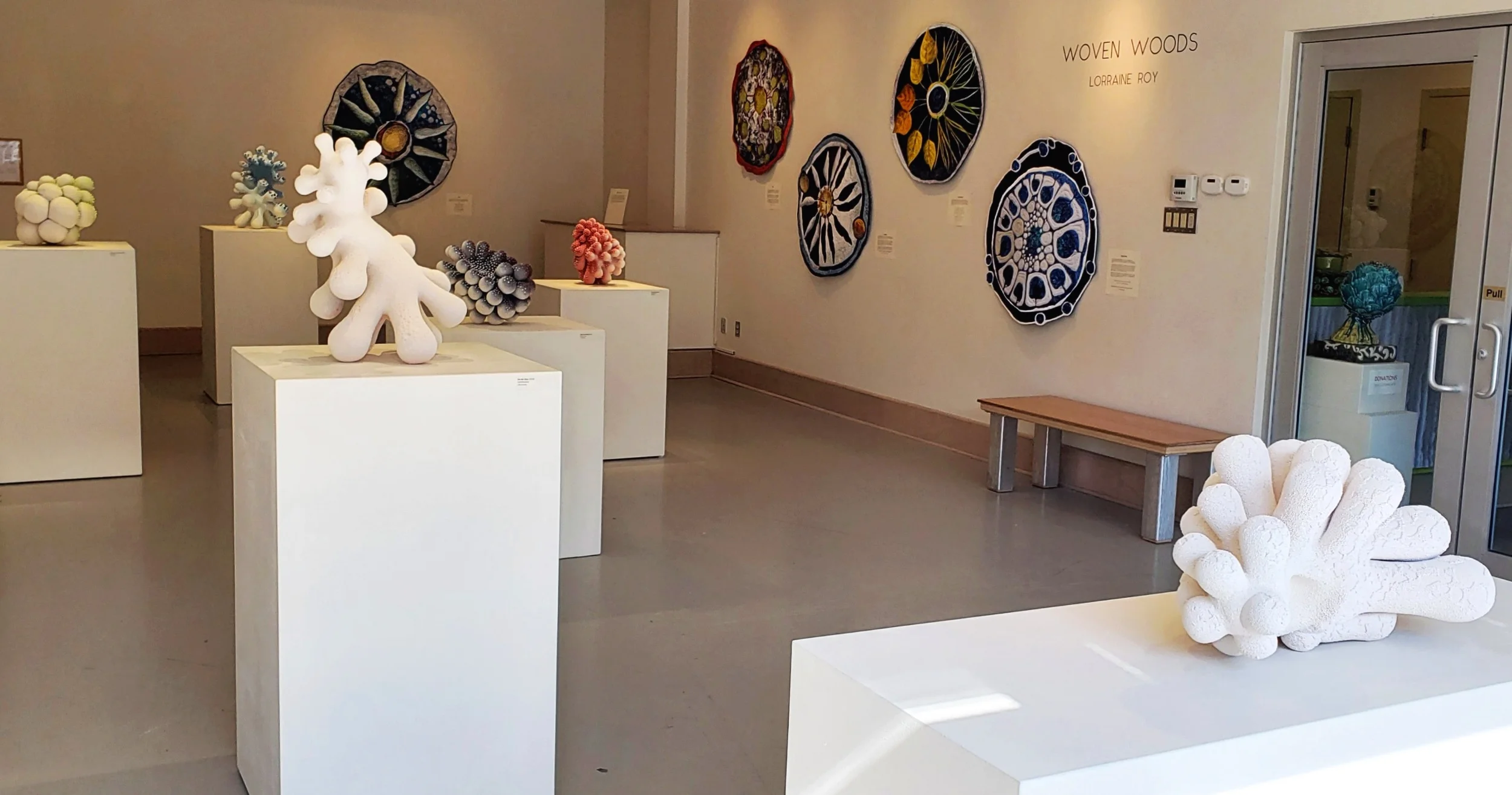 Exhibition - Patterns of Growth