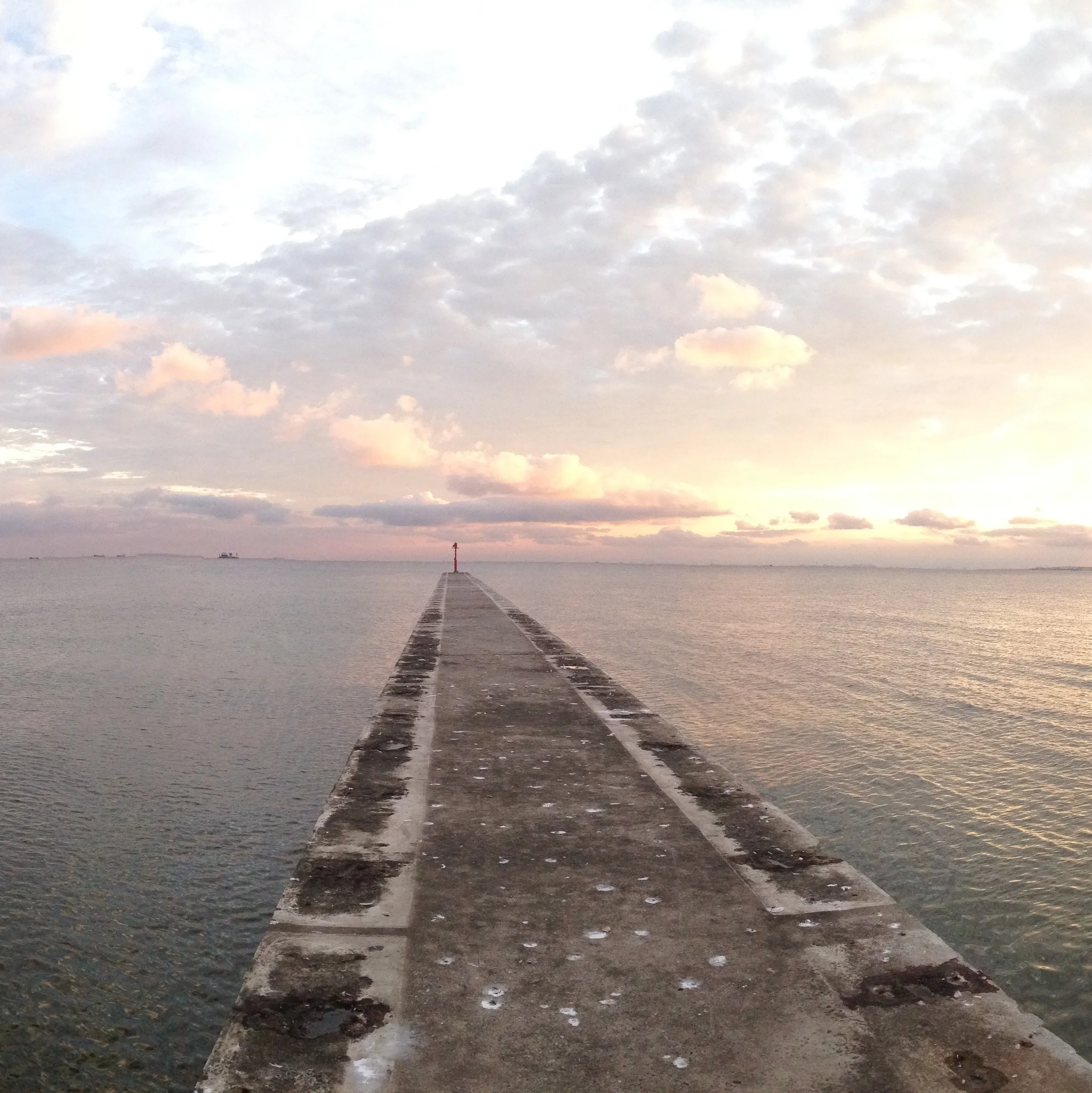 Tokyo ON #049: Living a Dream