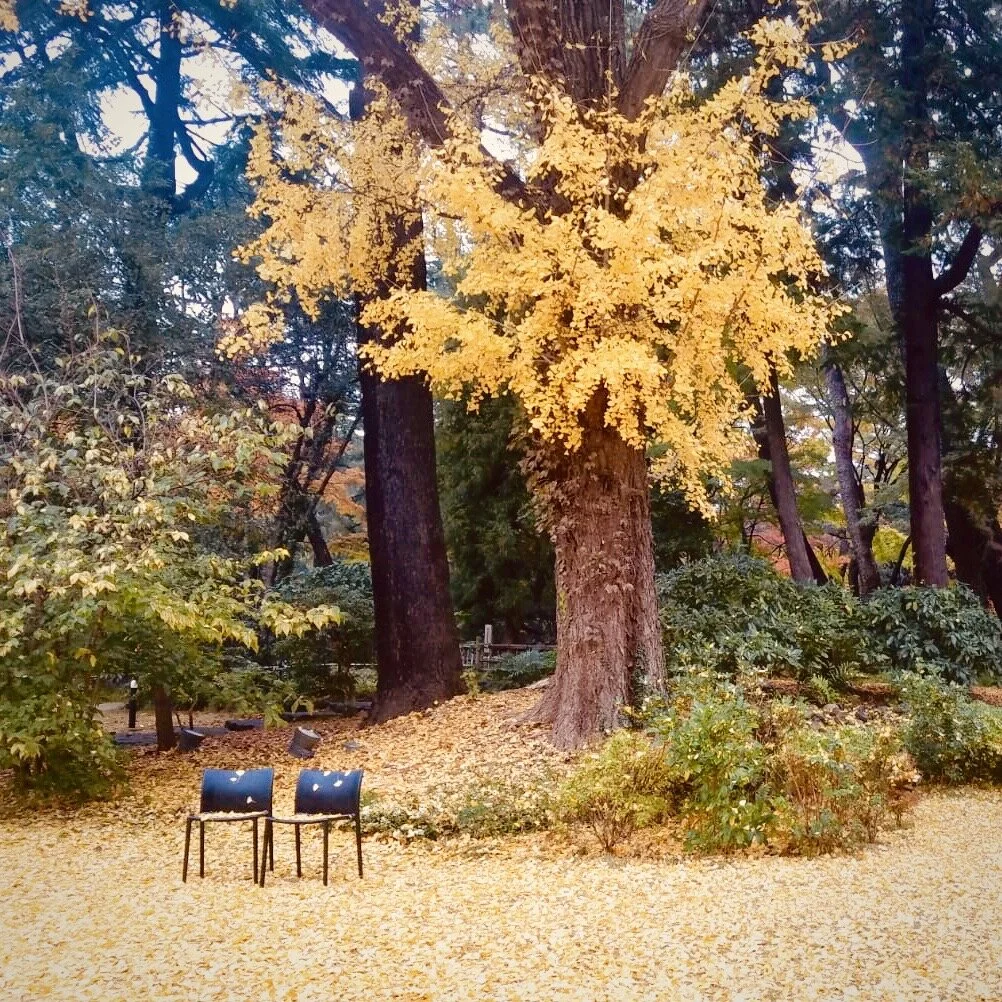 Tokyo ON #057: Thinking Autumn, Feeling Winter