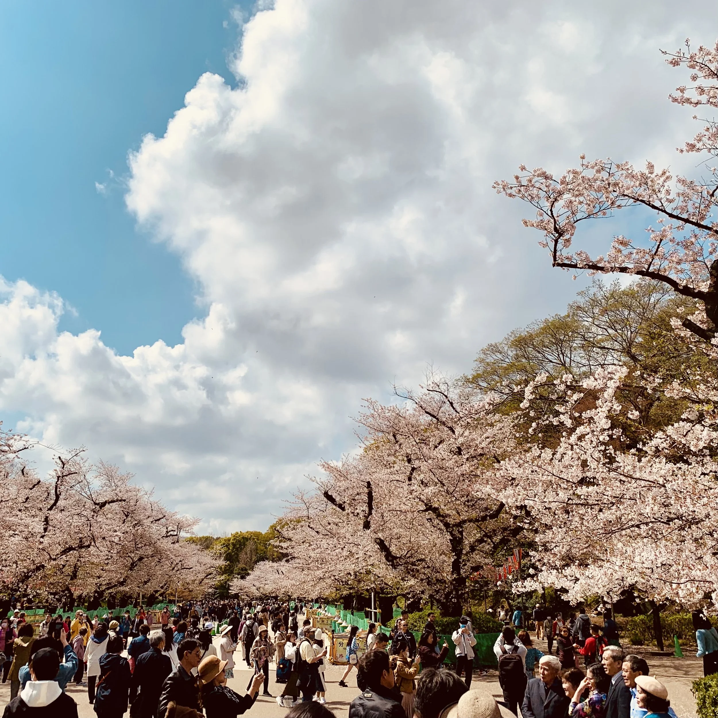 Tokyo ON *003: Another World