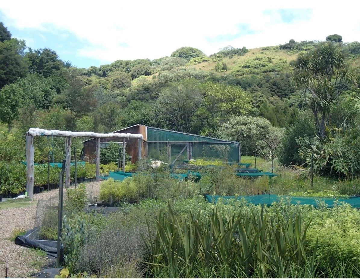 Gulf Trees Nursery