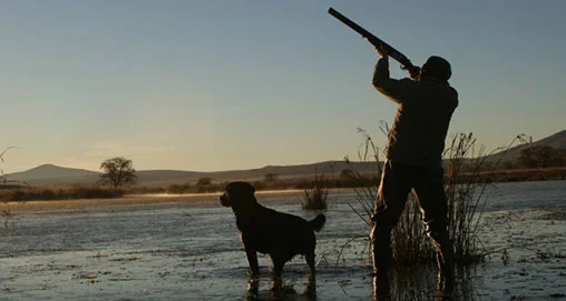 hunter and dog.jpg