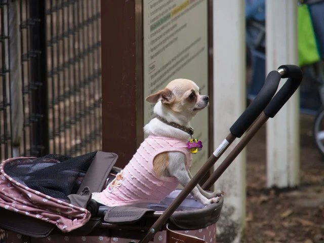 Toxic anthropomorphism