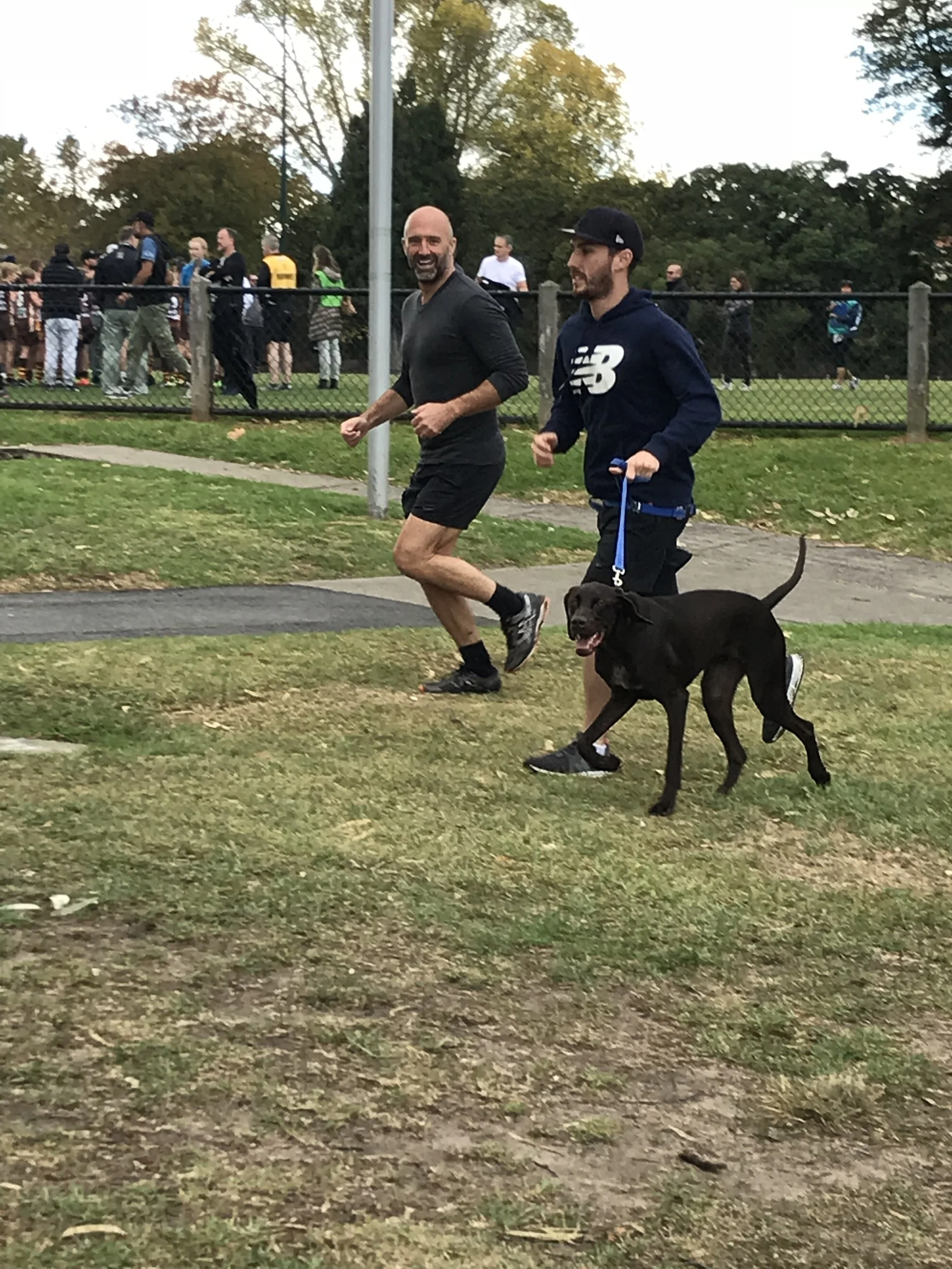 DOG - Archer - running on lead 685.jpeg