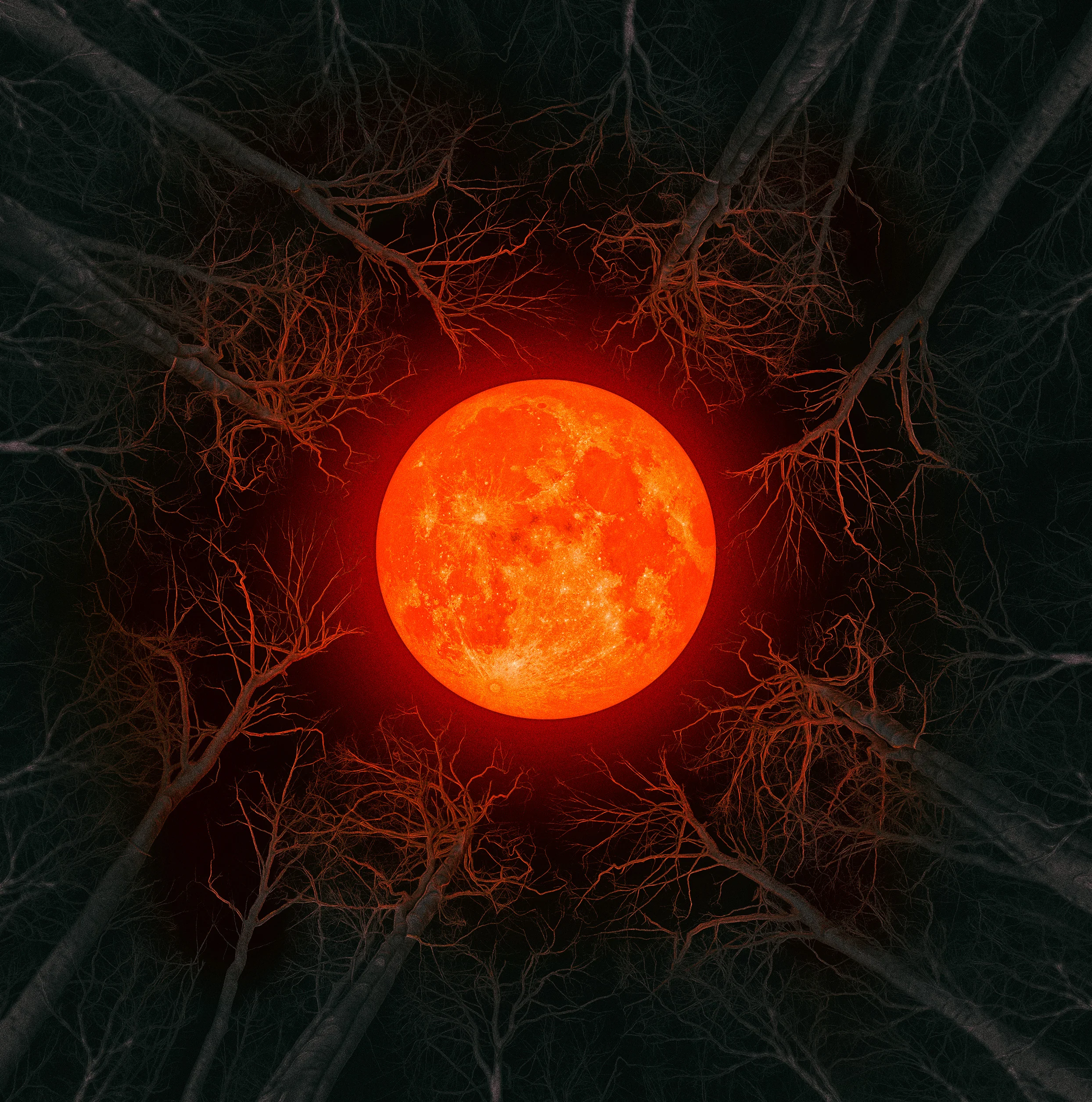 THE HUNTER MOON VIS 3.jpg