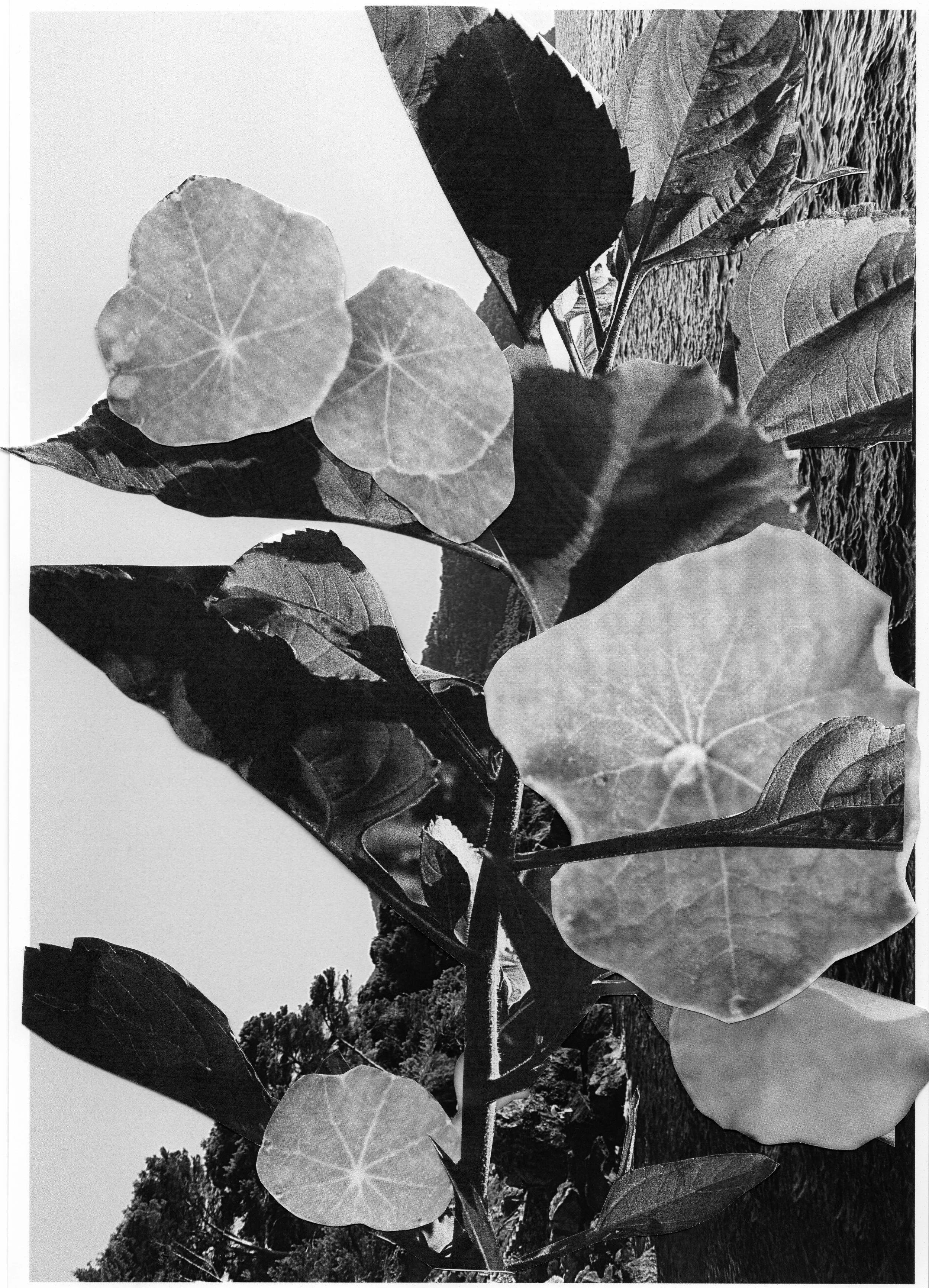 2025 AMPM COLLAGE06.jpg