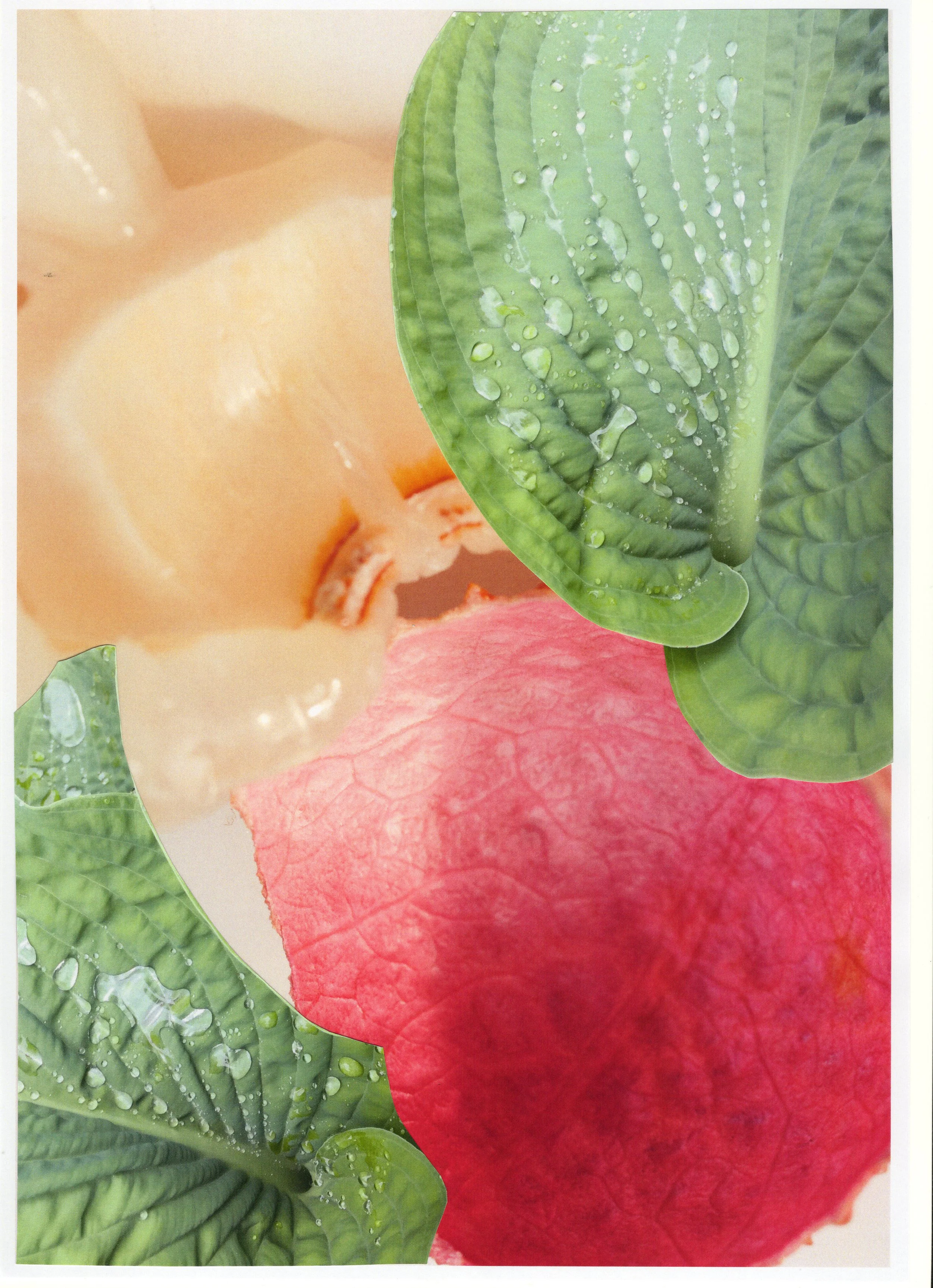 2025 AMPM COLLAGE17.jpg