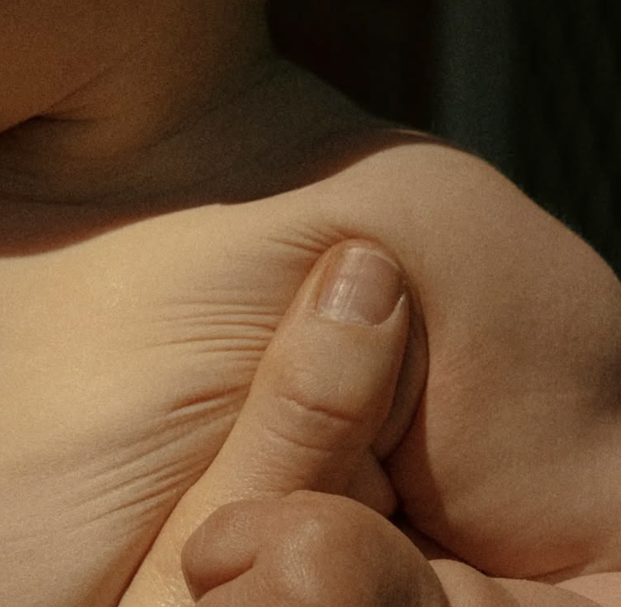 Scherm­afbeelding 2026-01-28 om 15.08.47.png