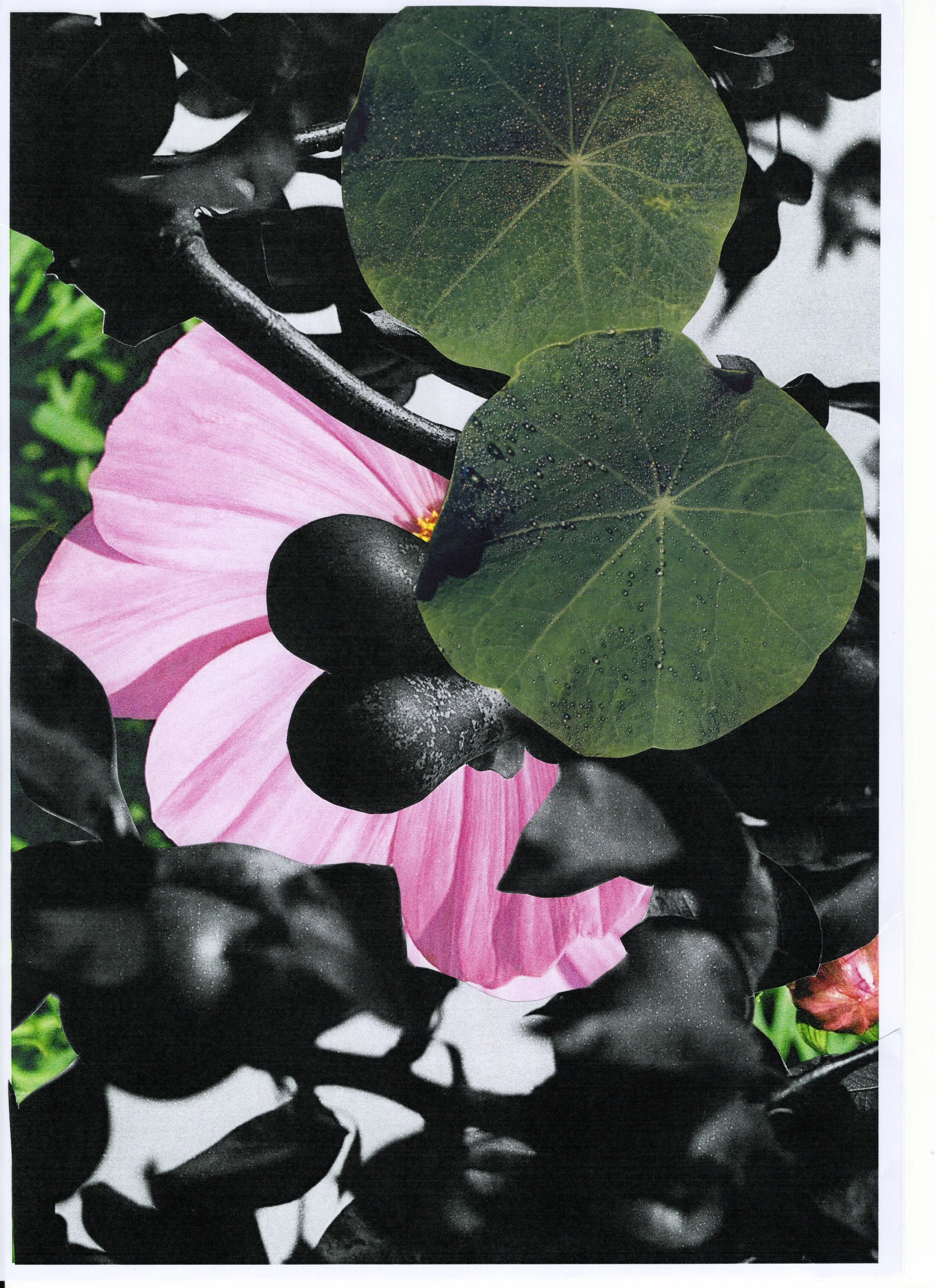 2025 AMPM COLLAGE02.jpg