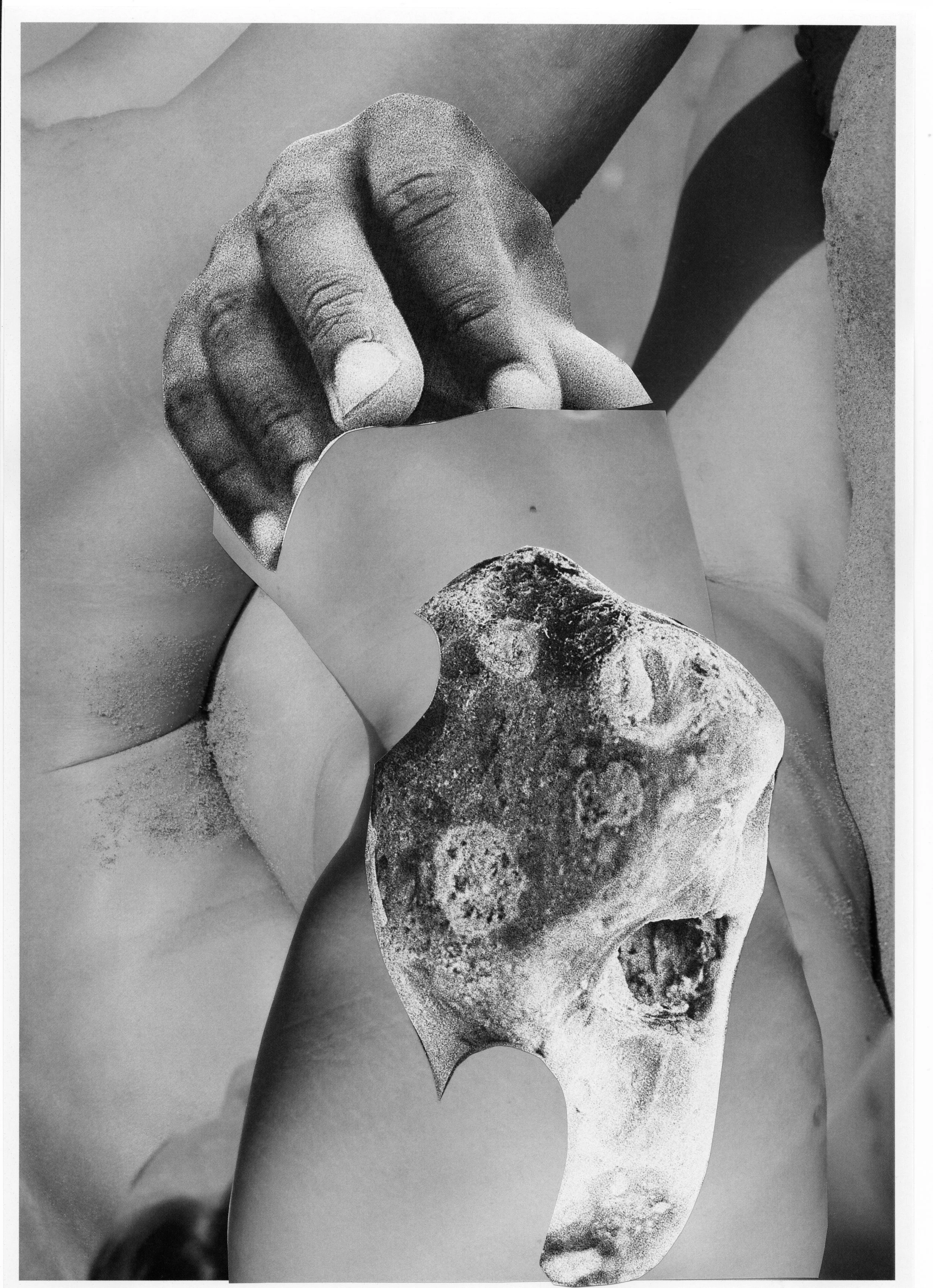 2025 AMPM COLLAGE16.jpg