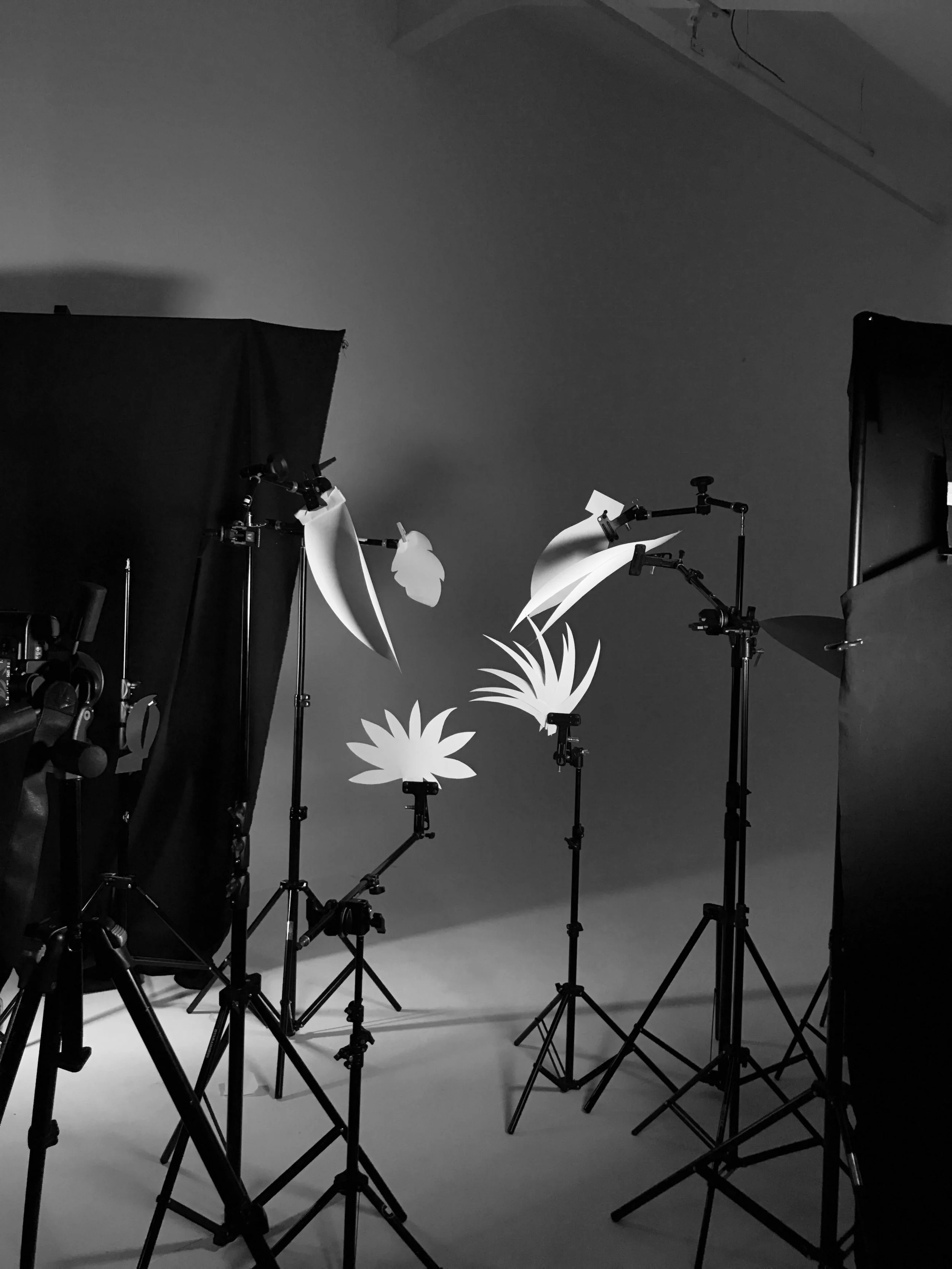 studio_photo_lyon_location_cyclorama_courraud_22.jpeg
