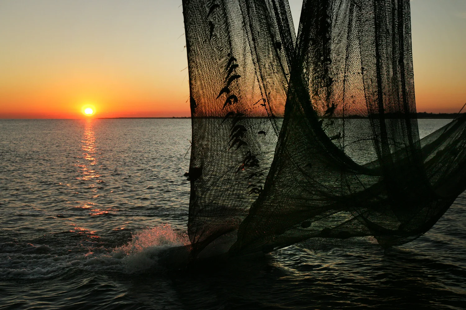Russ_Bryant_Georgia_Shrimpers_4.jpg
