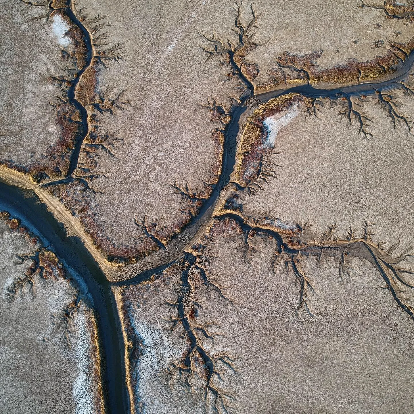 Floodplains in the dry. Karumba, Queensland
