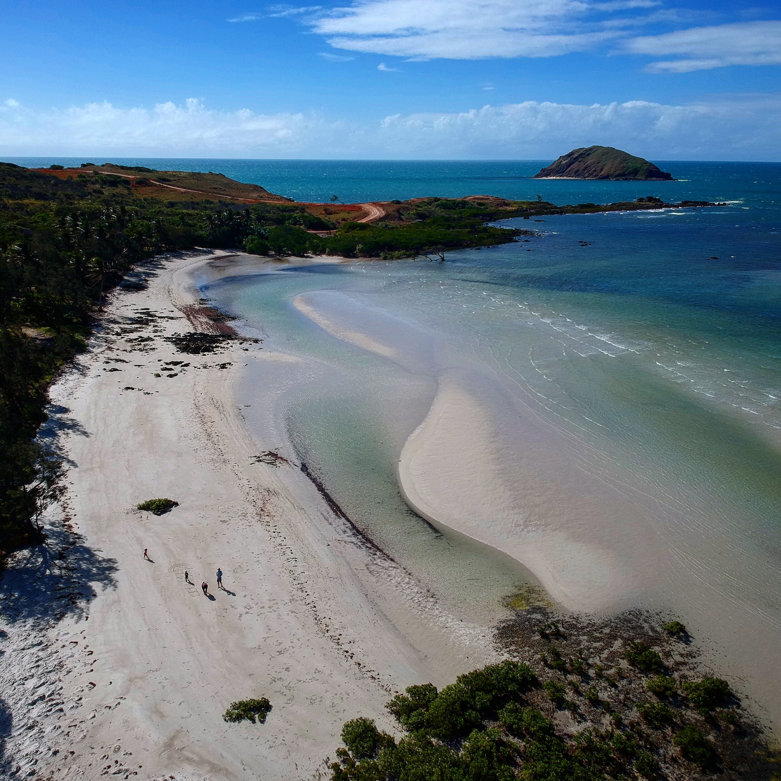 Some wild wonder. Archer Point, Queensland