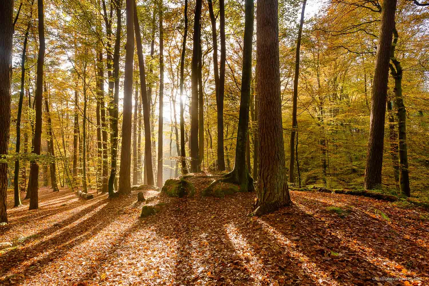 Luxembourg | Landscape & Nature Photographer | Christophe Van Biesen