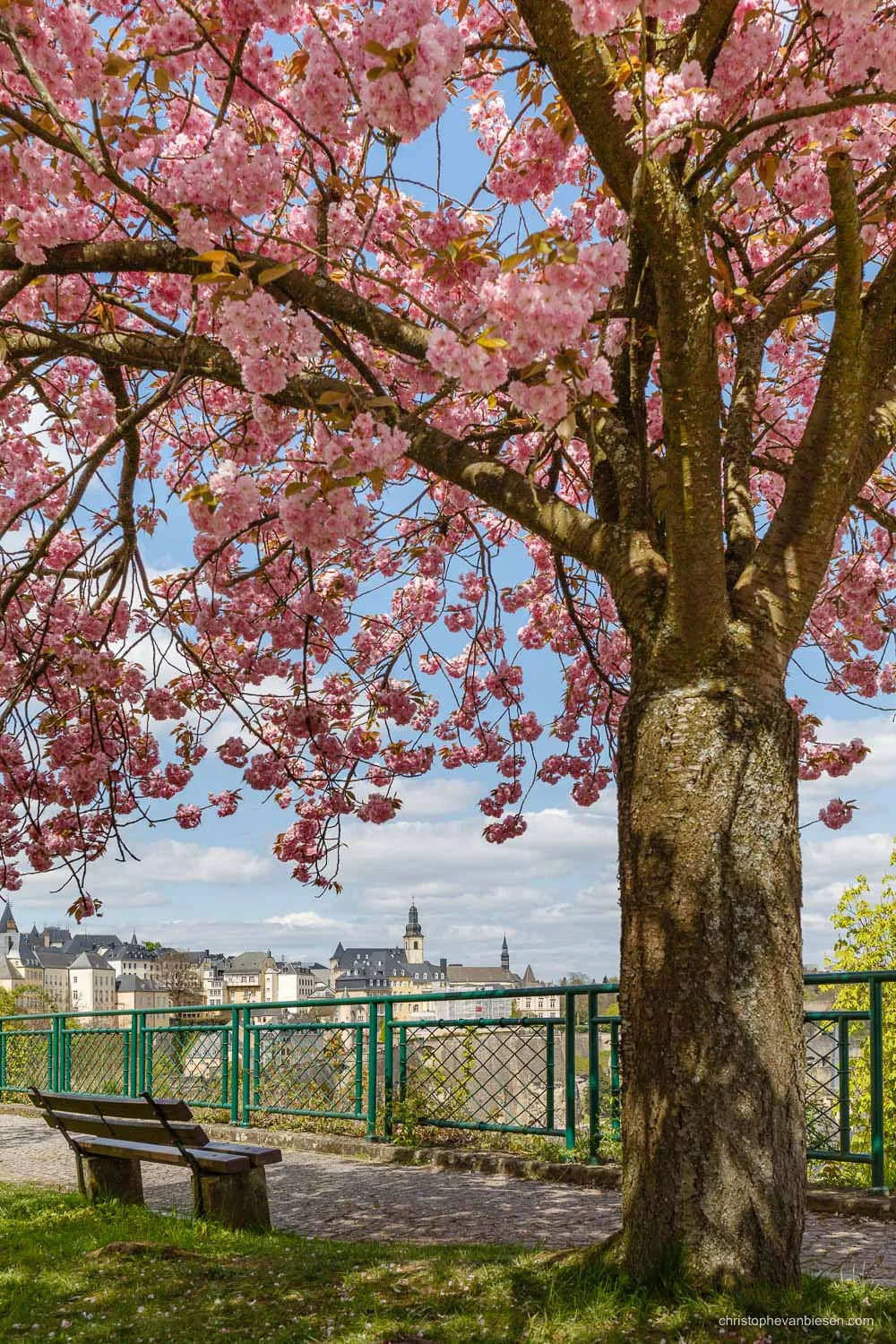 Spring in Luxembourg