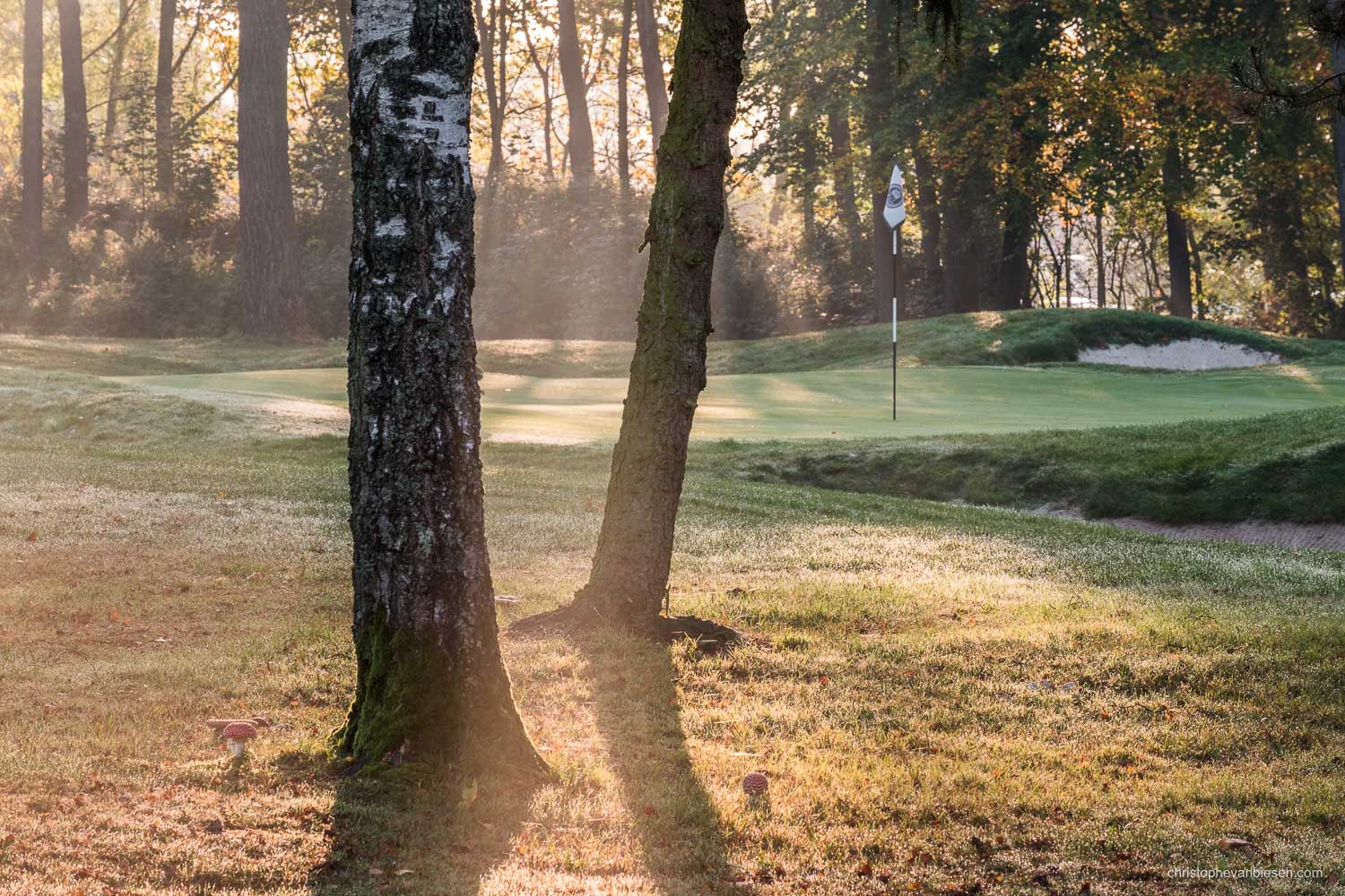 Work with me - Commission Work - Golf Club Grand Ducal Luxembourg Senningerberg - Hole 14 - Photography by Christophe Van Biesen - Luxembourg Landscape and Travel Photographer