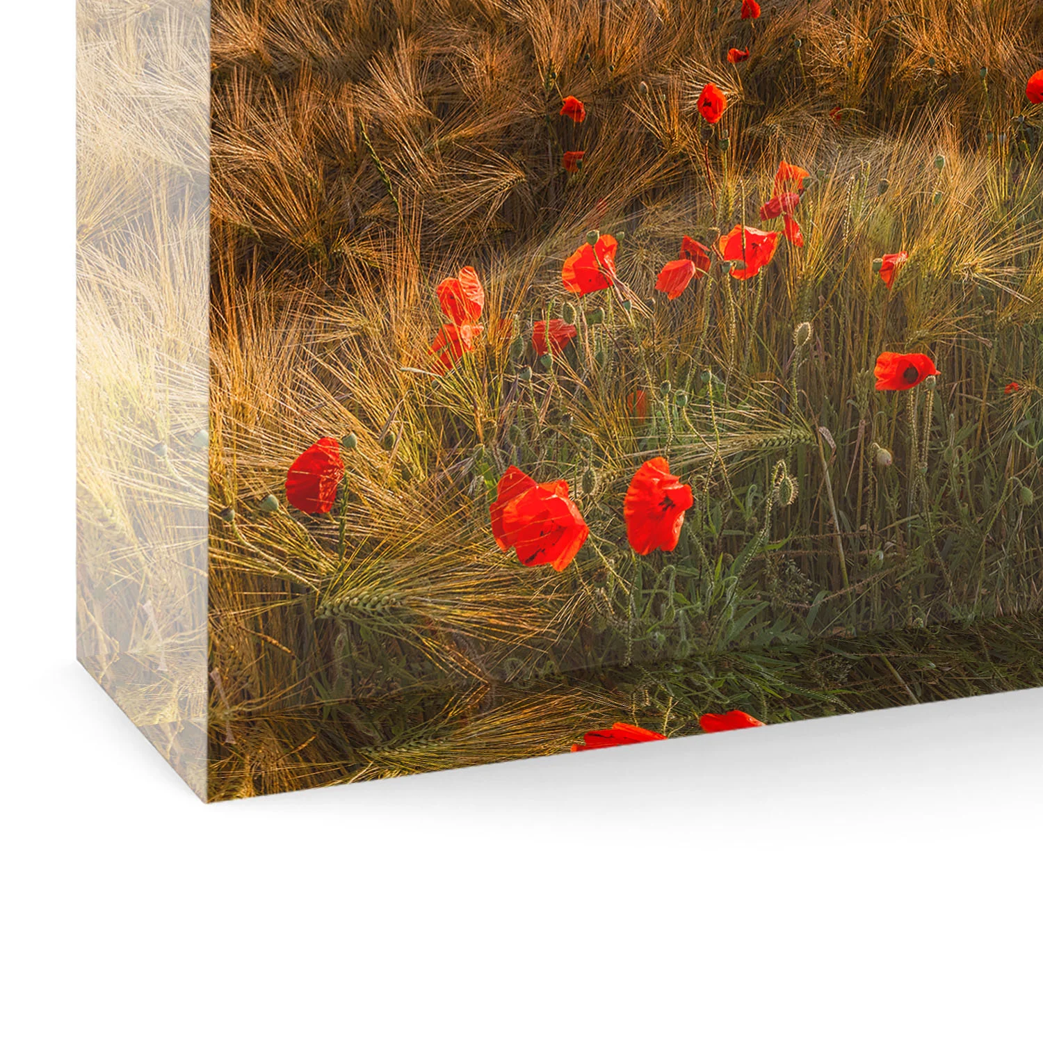 Acrylic Glass Block - Luxembourg - Gift Souvenir - Splash of Red - Bottom - Photography by Christophe Van Biesen - Luxembourg Landscape and Travel Photographer