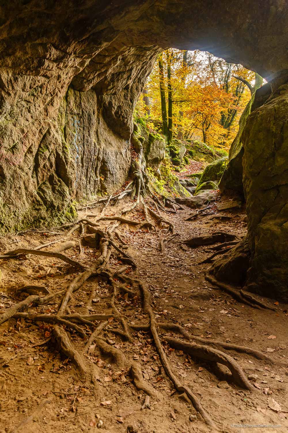 Visit the Mullerthal - Luxembourg - Autumn in Luxembourg's forests in the Mullerthal region near Berdorf - Deep Roots