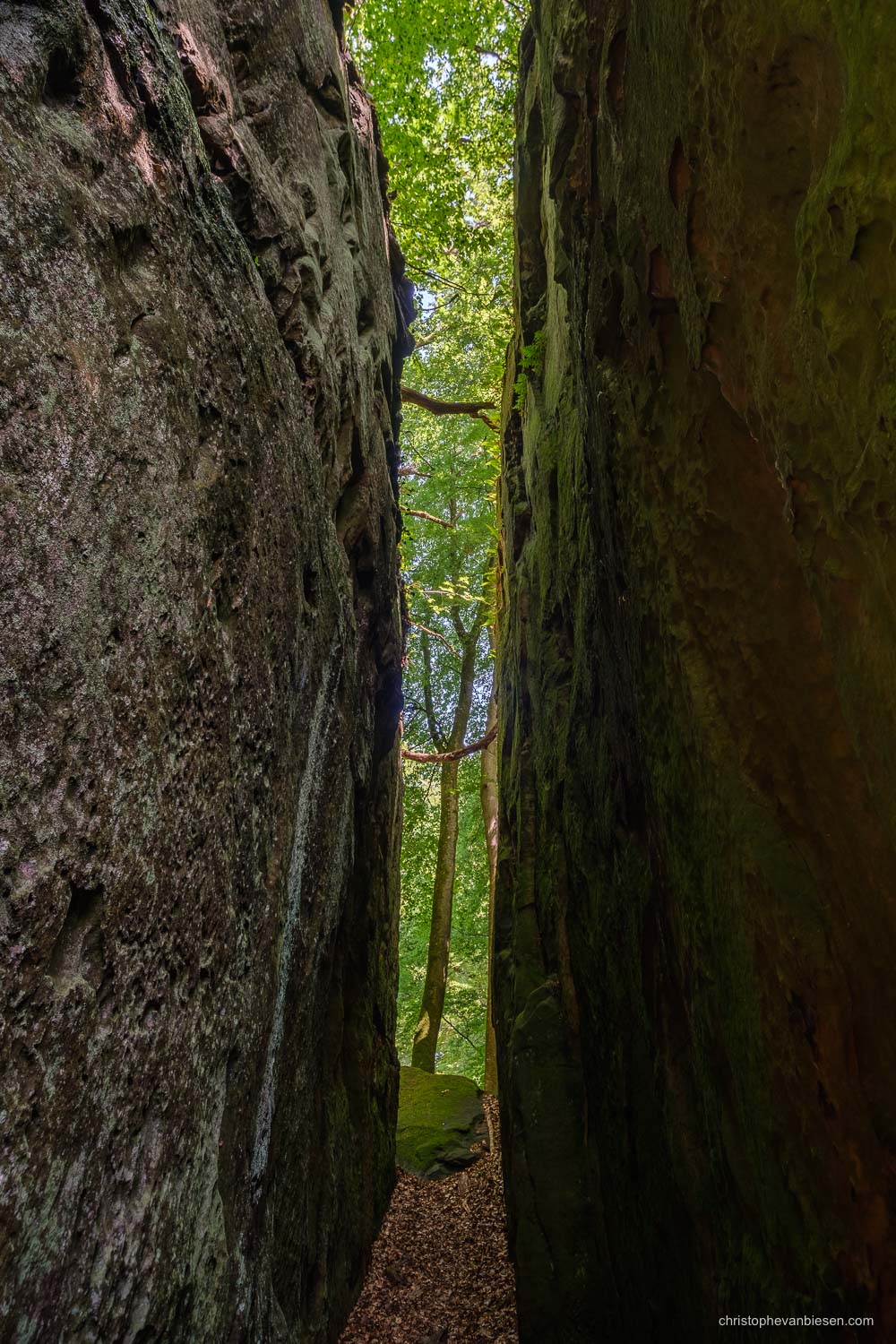 Visit the Mullerthal - Luxembourg - Narrow passage in the Mullerthal's rock formations in eastern Luxembourg - Tunnel View
