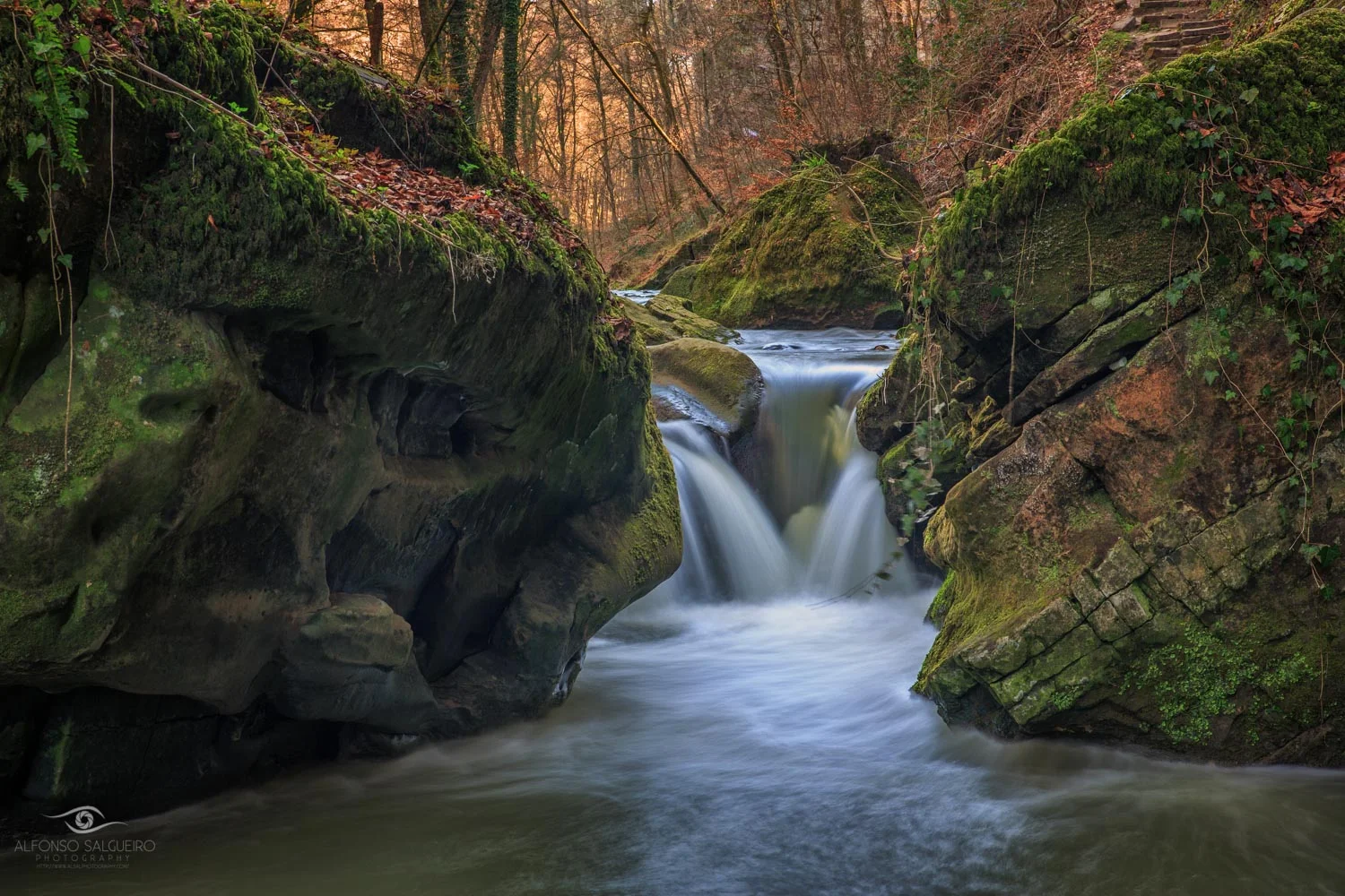 Photography Workshop Mullerthal - Luxembourg - Small Waterfall - Photography by Alfonso Salgueiro Lora