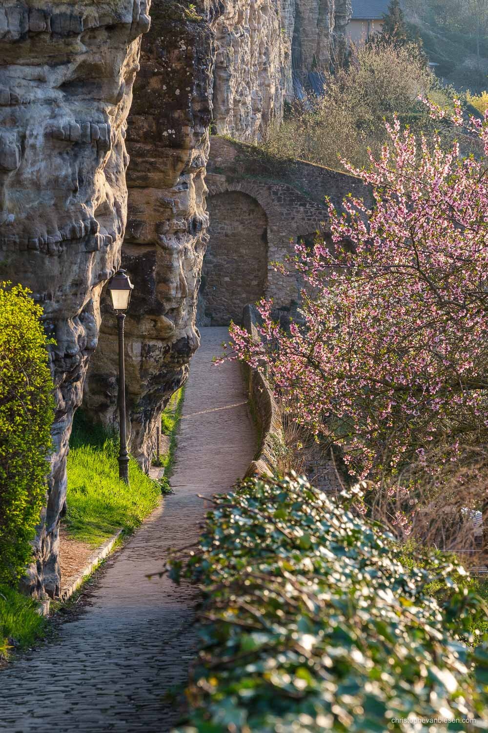 Spring in Luxembourg City along the Wenzel path