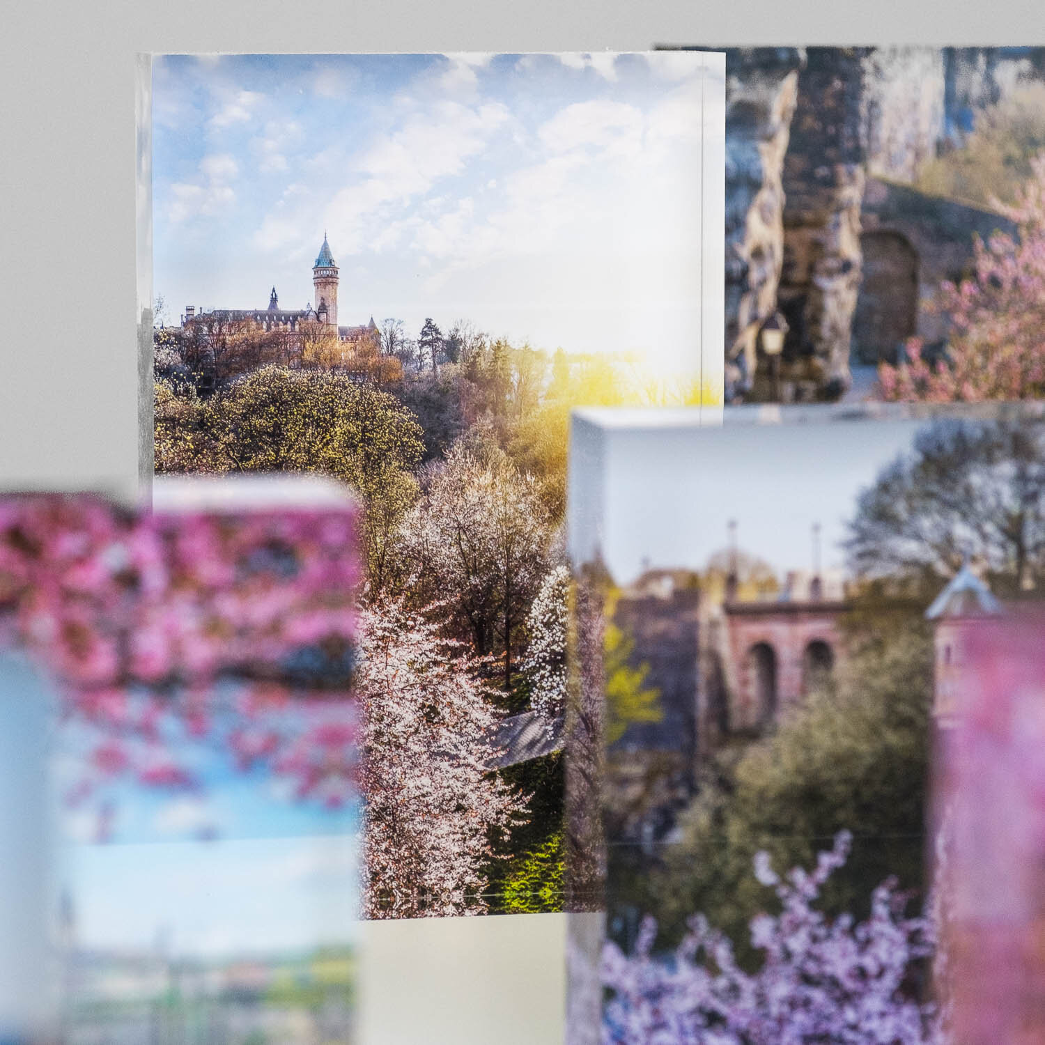 Sakura - Luxembourg Cherry Blossoms - Spring in Luxembourg - Art for sale - Blog Blogger Journal - Christophe Van Biesen - Artist Photographer
