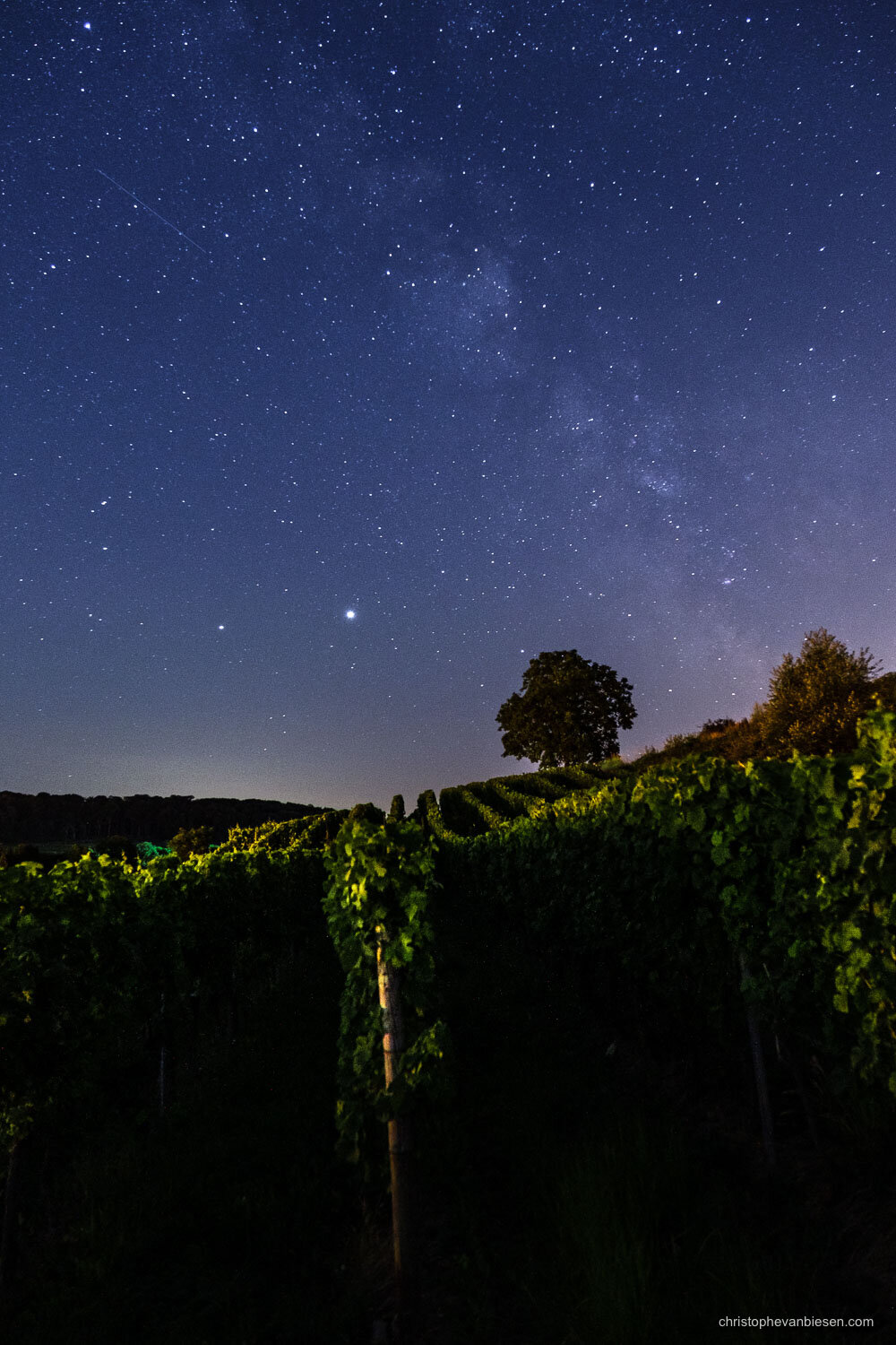 Milky Way - Visit Luxembourg Moselle - Mosel - Vineyards - Eastern Luxembourg - Photography by Christophe Van Biesen - Landscape Photography - Landscapes of Luxembourg