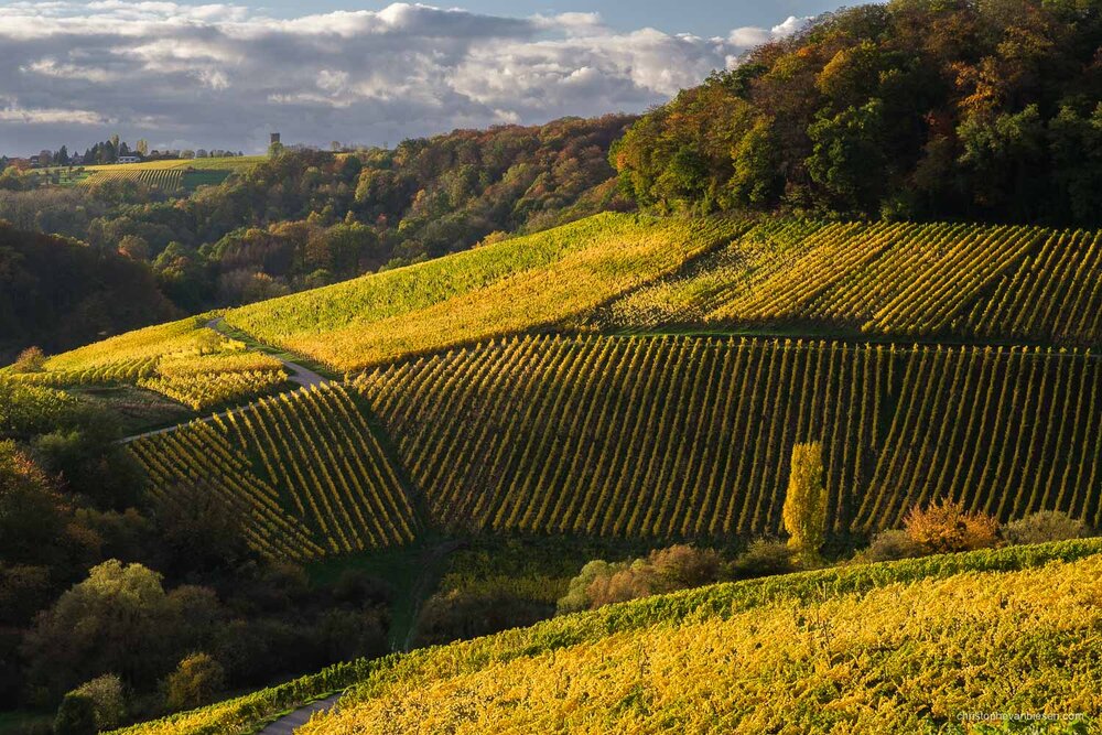 Visit Luxembourg Moselle - Mosel - Vineyards - Eastern Luxembourg - Photography by Christophe Van Biesen - Landscape Photography - Landscapes of Luxembourg