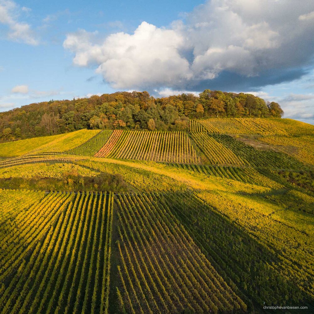 Visit Luxembourg Moselle - Mosel - Vineyards - Eastern Luxembourg - Photography by Christophe Van Biesen - Landscape Photography - Landscapes of Luxembourg