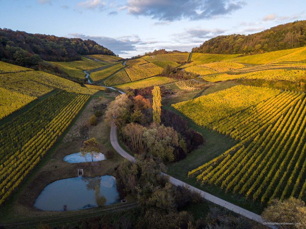 Visit Luxembourg Moselle - Mosel - Vineyards - Eastern Luxembourg - Photography by Christophe Van Biesen - Landscape Photography - Landscapes of Luxembourg