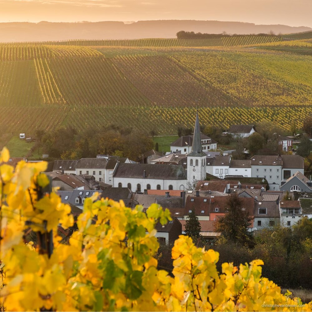 Visit Luxembourg Moselle - Mosel - Vineyards - Eastern Luxembourg - Photography by Christophe Van Biesen - Landscape Photography - Landscapes of Luxembourg