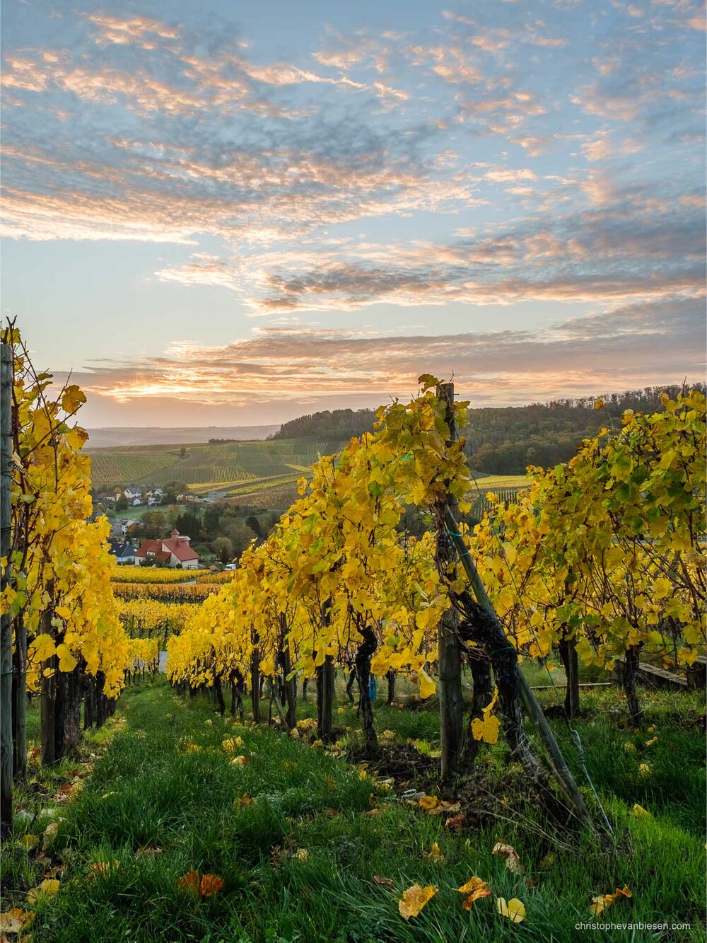 Visit Luxembourg Moselle - Mosel - Vineyards - Eastern Luxembourg - Photography by Christophe Van Biesen - Landscape Photography - Landscapes of Luxembourg4.jpg