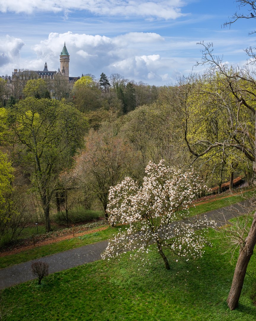 Spring in the city 🌸

➡ christophevanbiesen.com

#springinluxembourg #springinthecity #luxembourg #luxembourgcity #luxembourg🇱🇺 #luxembourggardens #luxembourglife #spring #springtime #springflowers #springishere #springday #springbloom