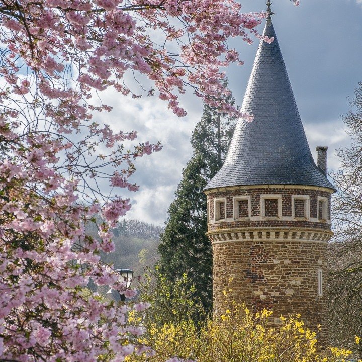 Ambiances printani&egrave;res au Pays d'Arlon 🌸

➡ christophevanbiesen.com

#paysdarlon #arlon #messancy #belgique #belgium #belgium🇧🇪 #madeinbelgium #visitbelgium #igersbelgium #belgiumtrip #spring #springtime #springflowers #springvibes #luxembo