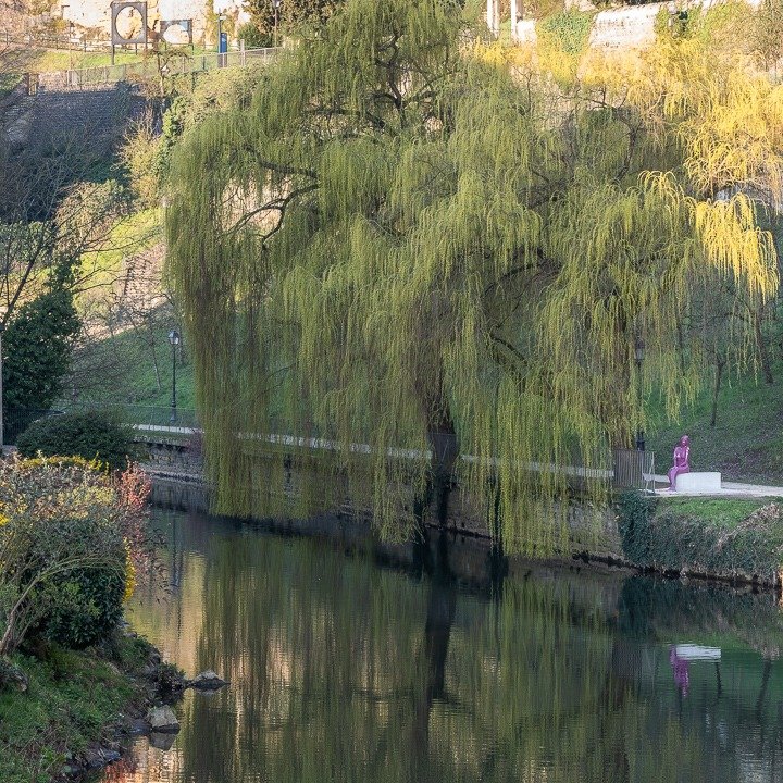 Melancholic Melusina 🧜&zwj;♀️
.
.
.
#melusina #grund #springinluxembourg #luxembourg #alzette