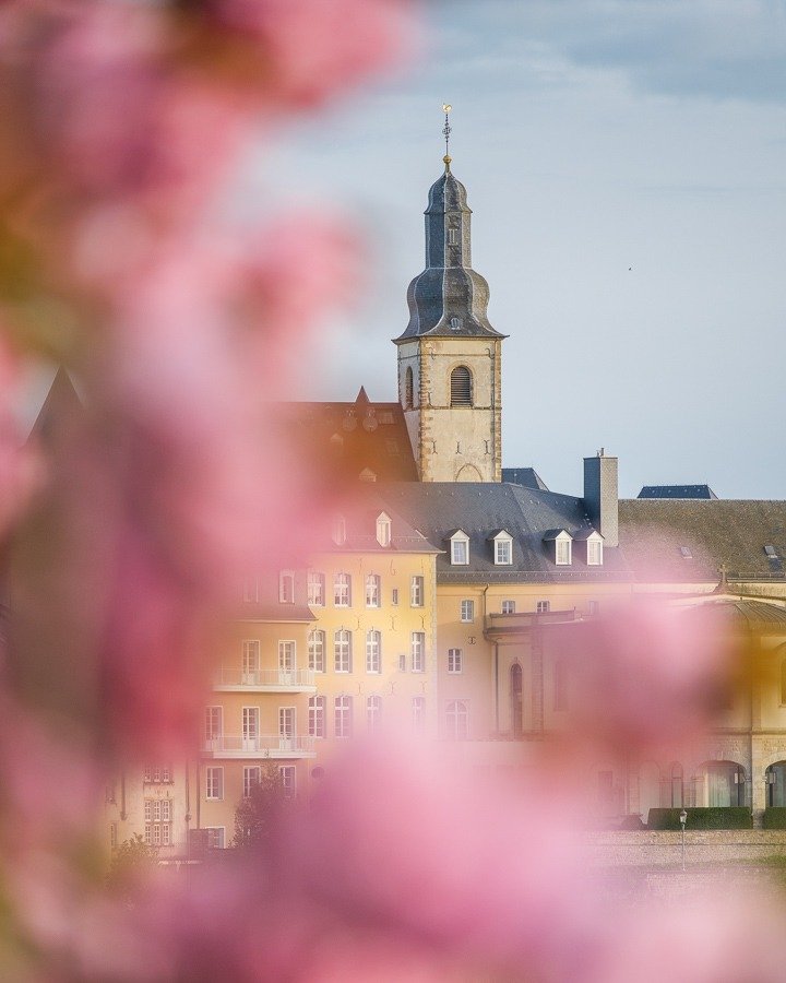 Spring blossoms around Luxembourg's Grund 🌸
Which picture do you prefer? The more abstract and dreamy look or the wider, more detailed version?
.
.
.
#springinluxembourg #luxembourgcity #sakura #cherryblossoms #springvibes #luxembourg #springblossom