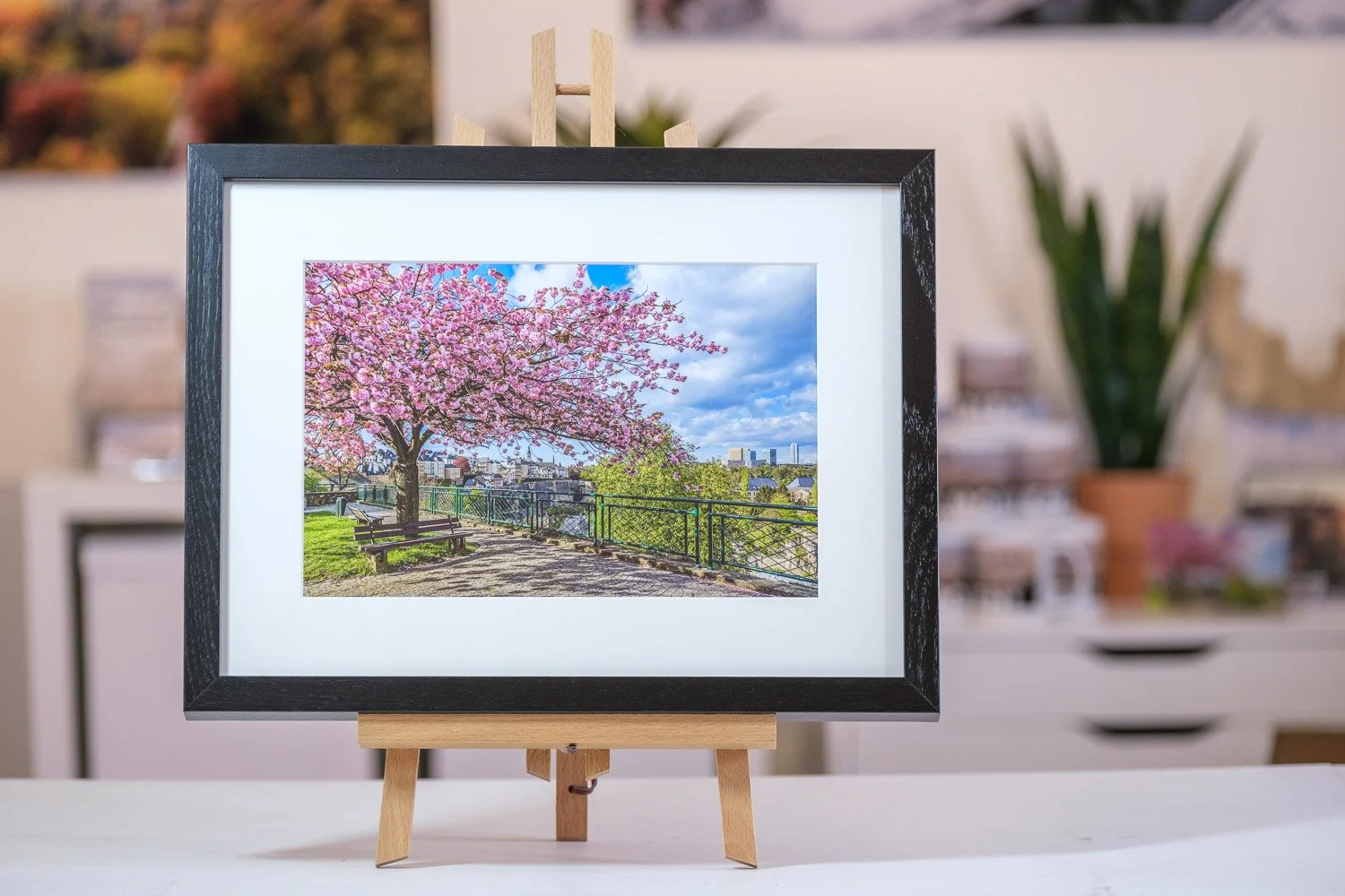 Fine art photography and Luxembourg photo gifts for corporate clients