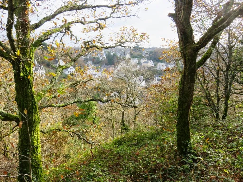(3) Pont-Aven seen from Bois d'Amour