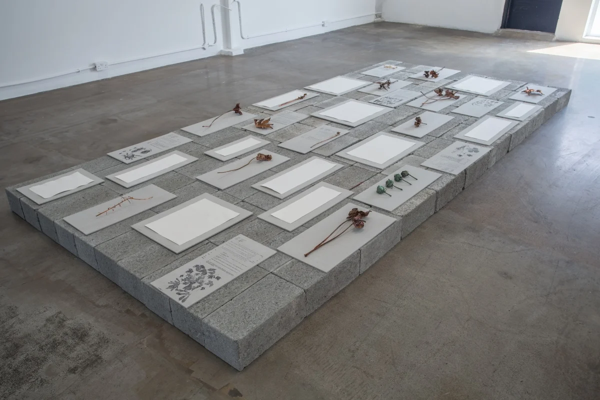 1490537005_The Impact of Tangency_Installation by Farnaz Rabieijah 6.jpg