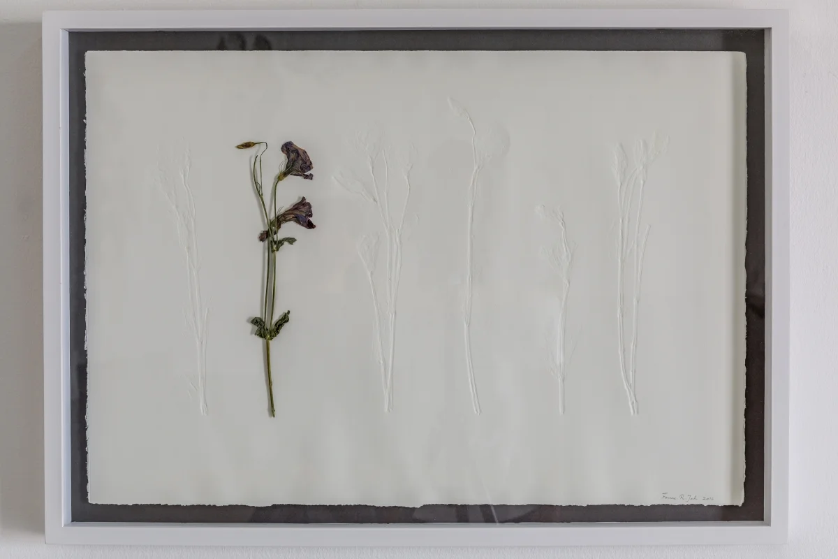 1490537724_Farnaz Rabieijah_The Spinning Plate 6 series_Chalcography Relief Print on Cotton Sheet_70x48.5cm_Single Edition_2016.jpg