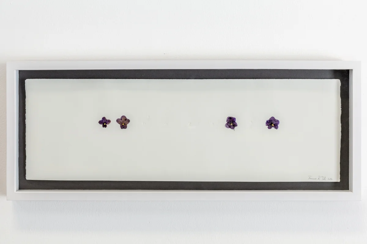1490537831_Farnaz Rabieijah_The Spinning Plate 8 series_Chalcography Relief Print on Cotton Sheet_70x48.5cm_Single Edition_2016.jpg