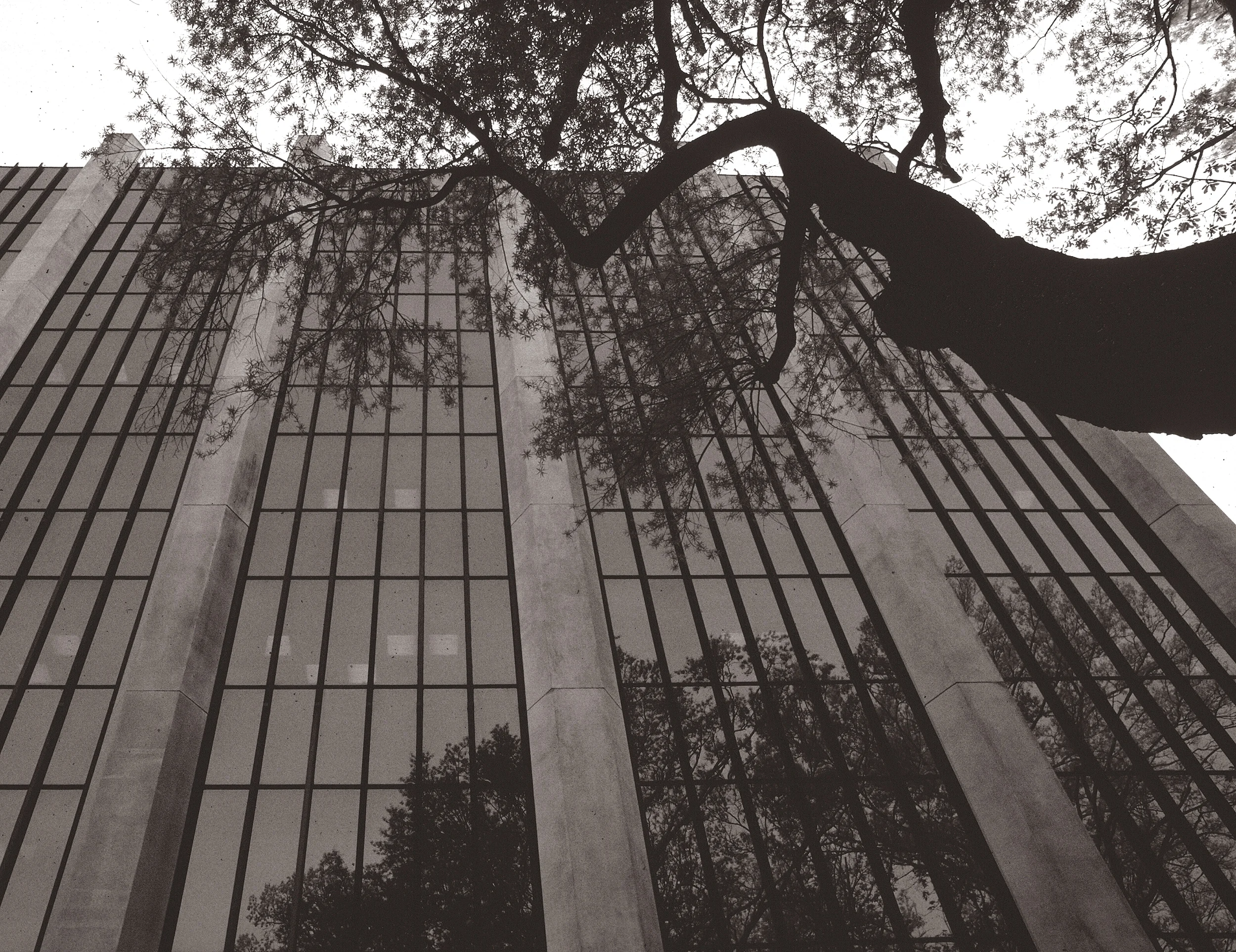 Skinner Farlow Kirwan Architecture