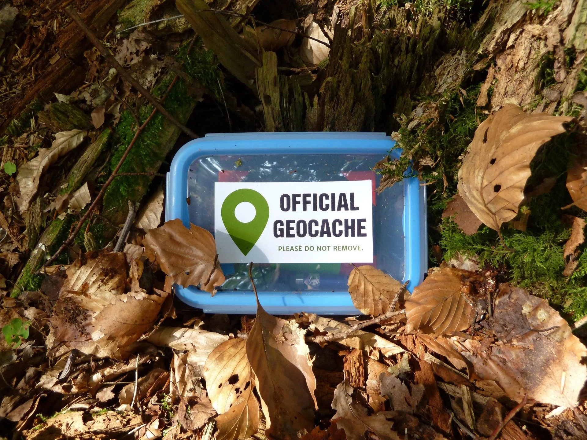 Geocaching in Great Yarmouth: A Beginner's Guide to Getting Active