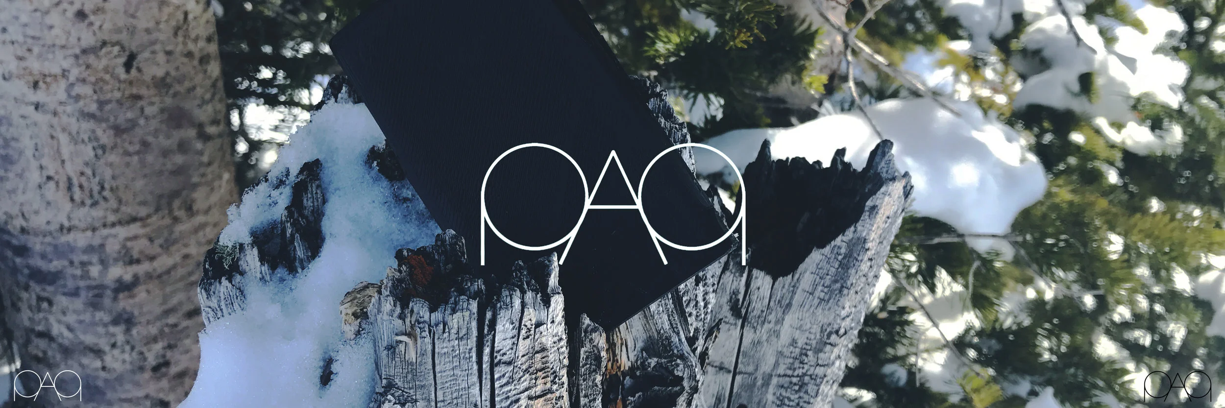 PAQ in snow tree.jpg