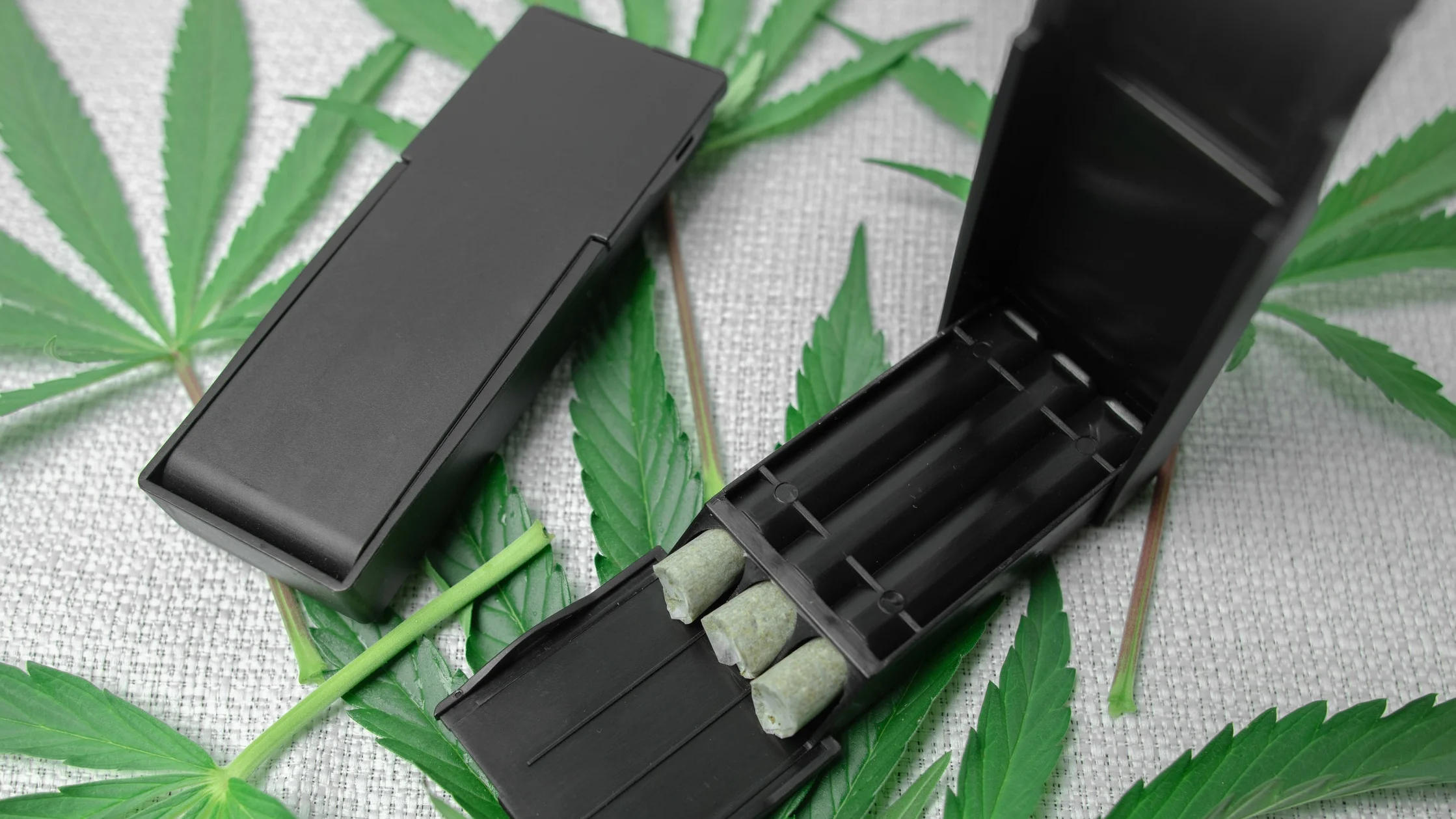JPAQtrio cannabis.jpg