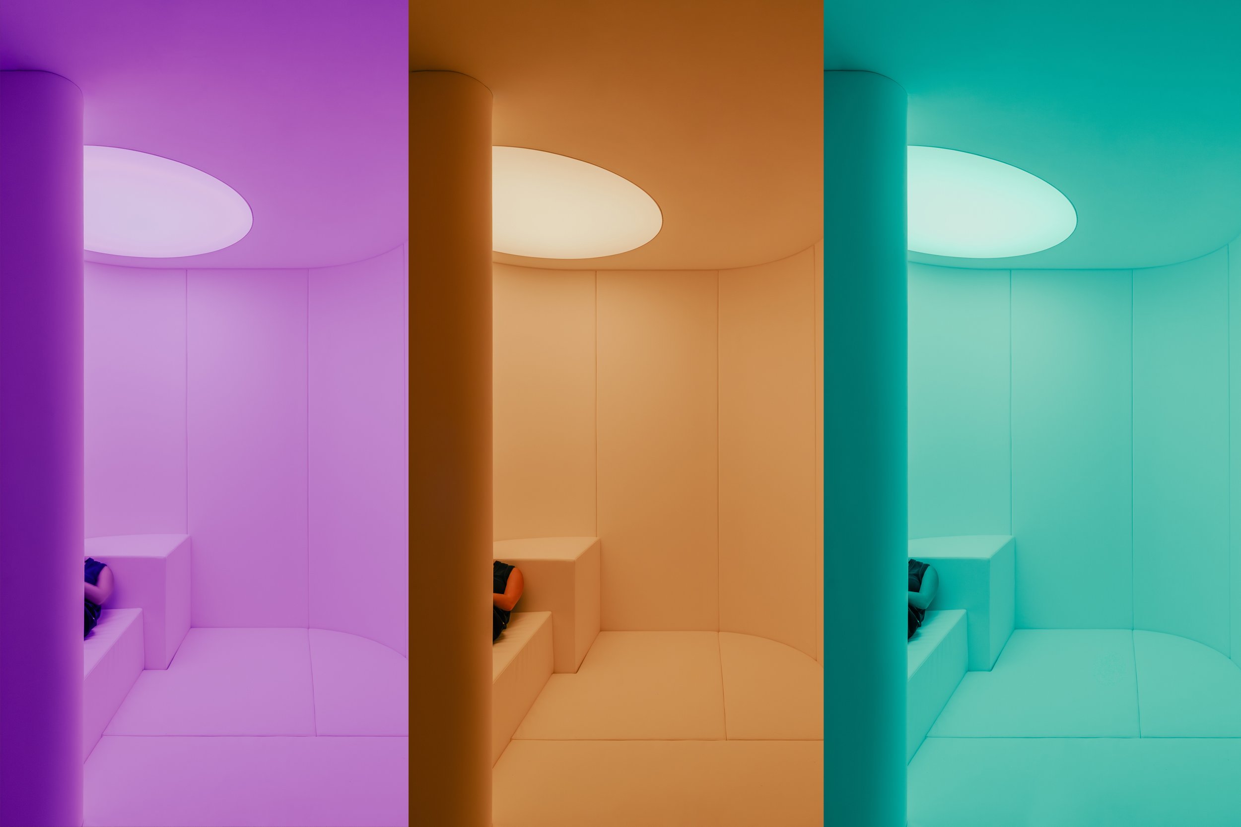 Nests_colours.jpg