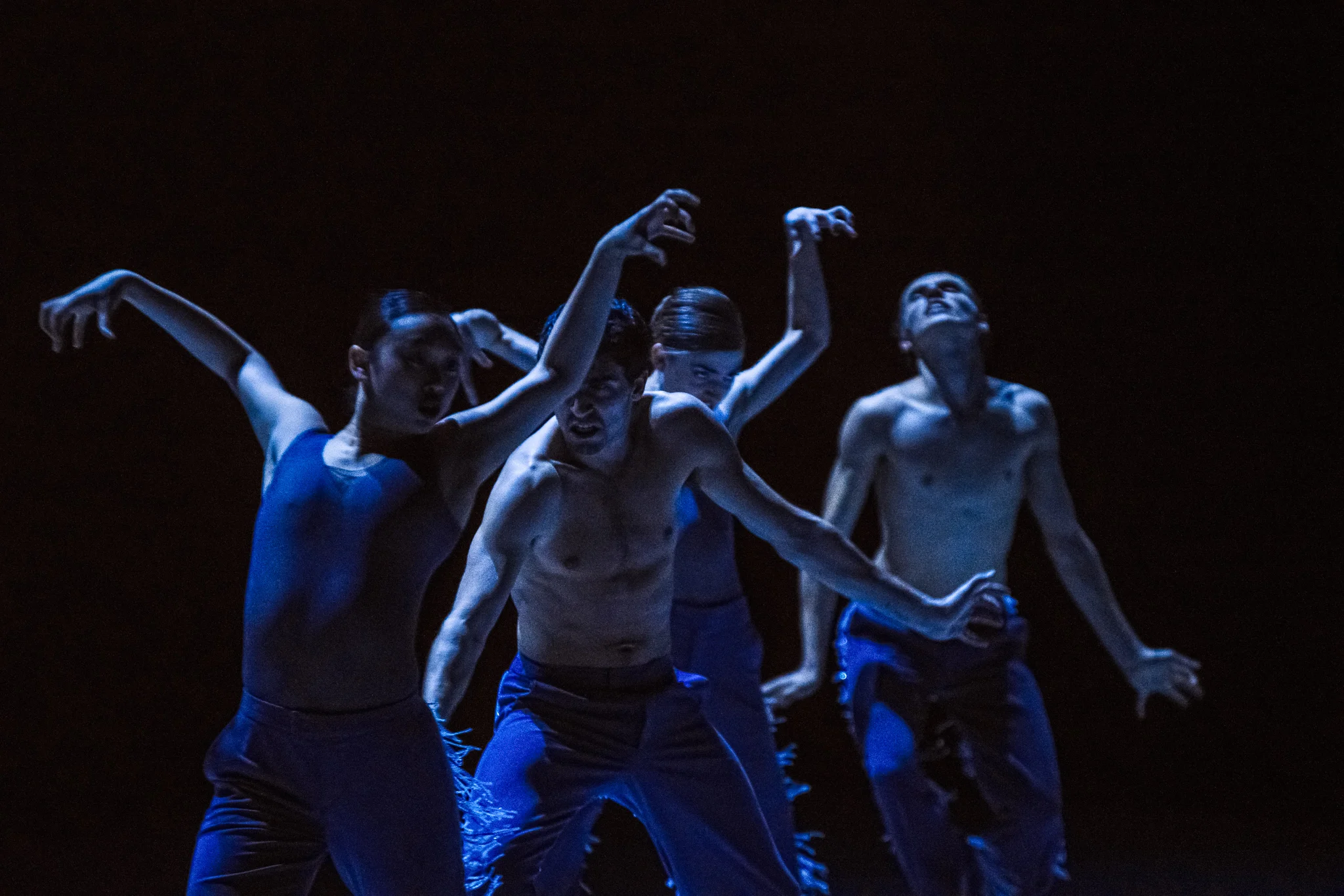 NDT2 Wir sagen uns Dunkles by Marco Goecke dance photography, fotografia de escena, fotografo de danza, dance photographer, stage photography