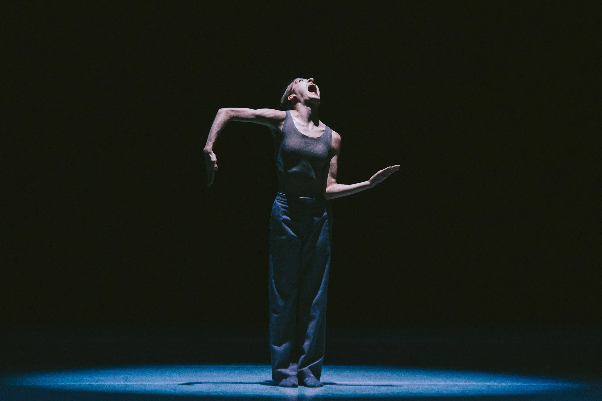 Image of NDT2 Wir sagen uns Dunkles dance photography, fotografia de escena, fotografo de danza, dance photographer, stage photographyby Marco Goecke