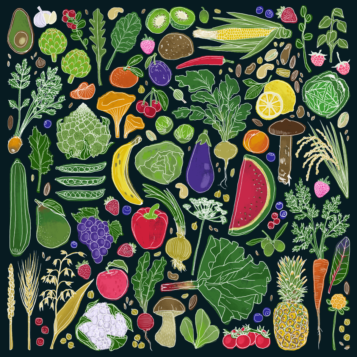 nutrition_1200px.png